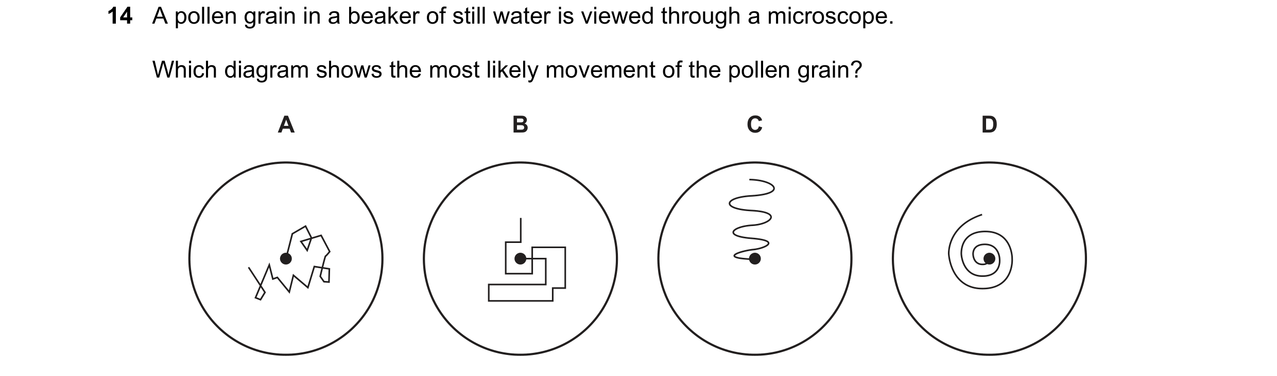 Question 140: A pollen grain in a beaker of still water is viewed through a microscope. Which diagram shows the most likely movement of the pollen grain?…