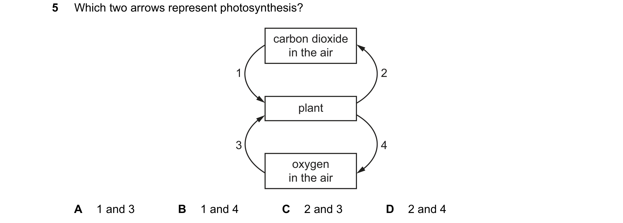 Question 64: Which two arrows represent photosynthesis? carbon dioxide in the air 1 2 plant 3 4 oxygen in the air A 1 and 3 B 1 and 4 C 2 and 3 D 2 and 4