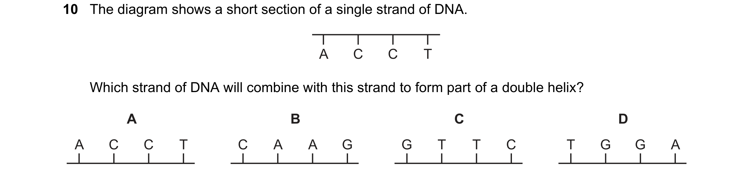 Question 16: The diagram shows a short section of a single strand of DNA. A C C T Which strand of DNA will combine with this strand to form part of a do…