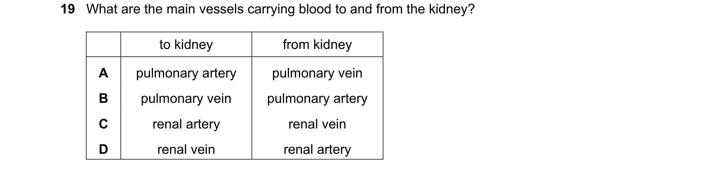 Question 11: What are the main vessels carrying blood to and from the kidney? to kidney from kidney A pulmonary artery pulmonary vein B pulmonary vein p…