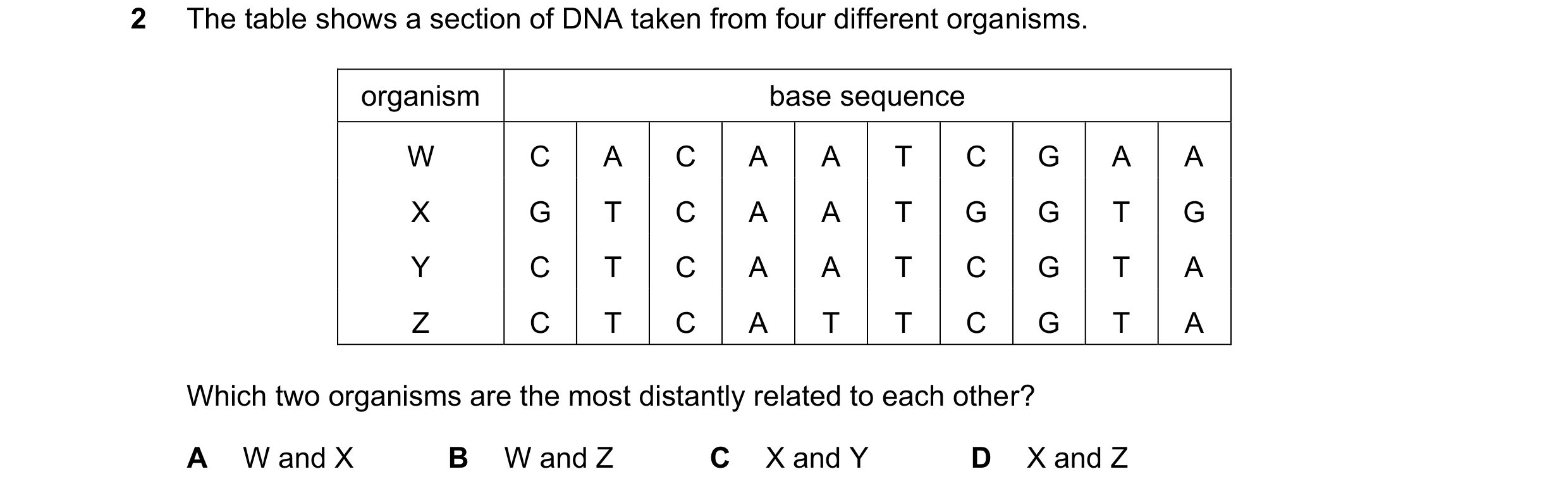 Question 8: The table shows a section of DNA taken from four different organisms. organism base sequence W C A C A A T C G A A X G T C A A T G G T G Y …