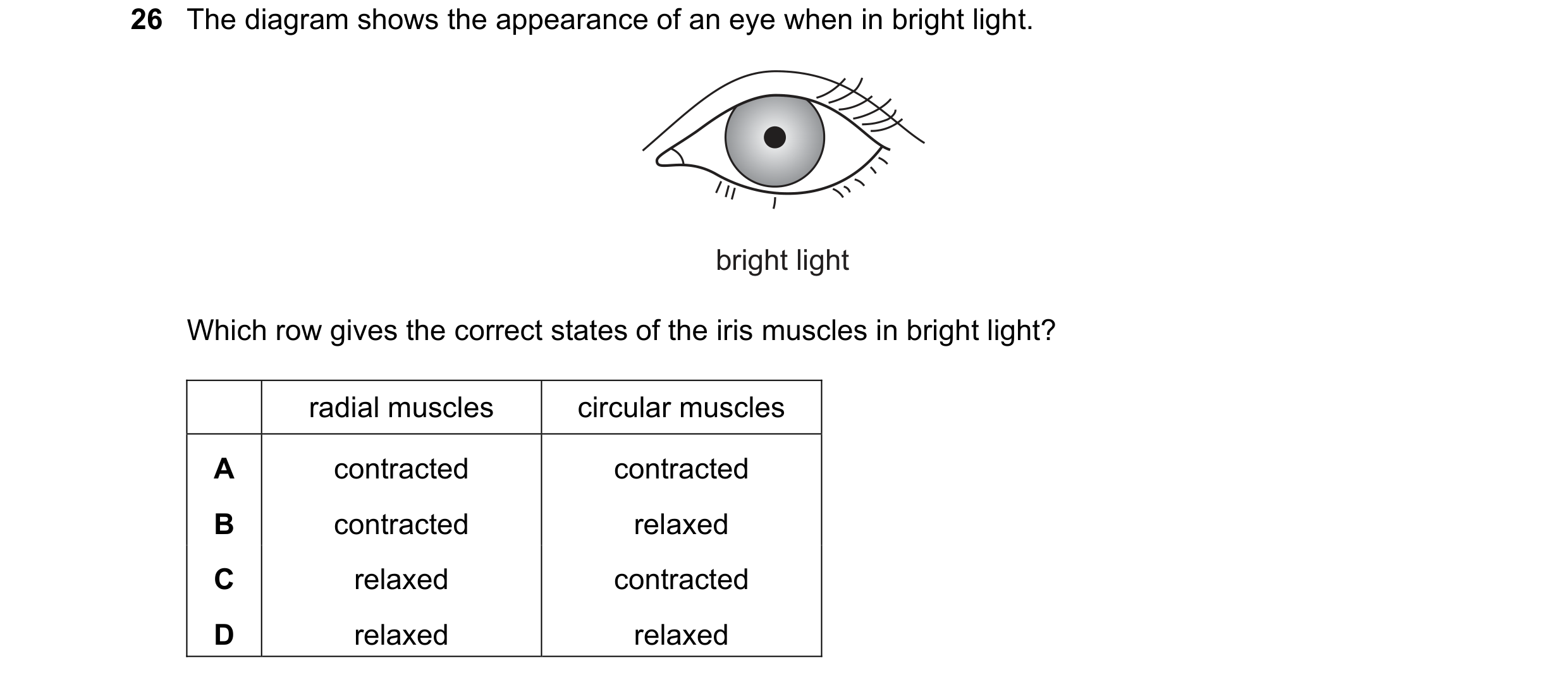 Question 14: The diagram shows the appearance of an eye when in bright light. bright light Which row gives the correct states of the iris muscles in bri…