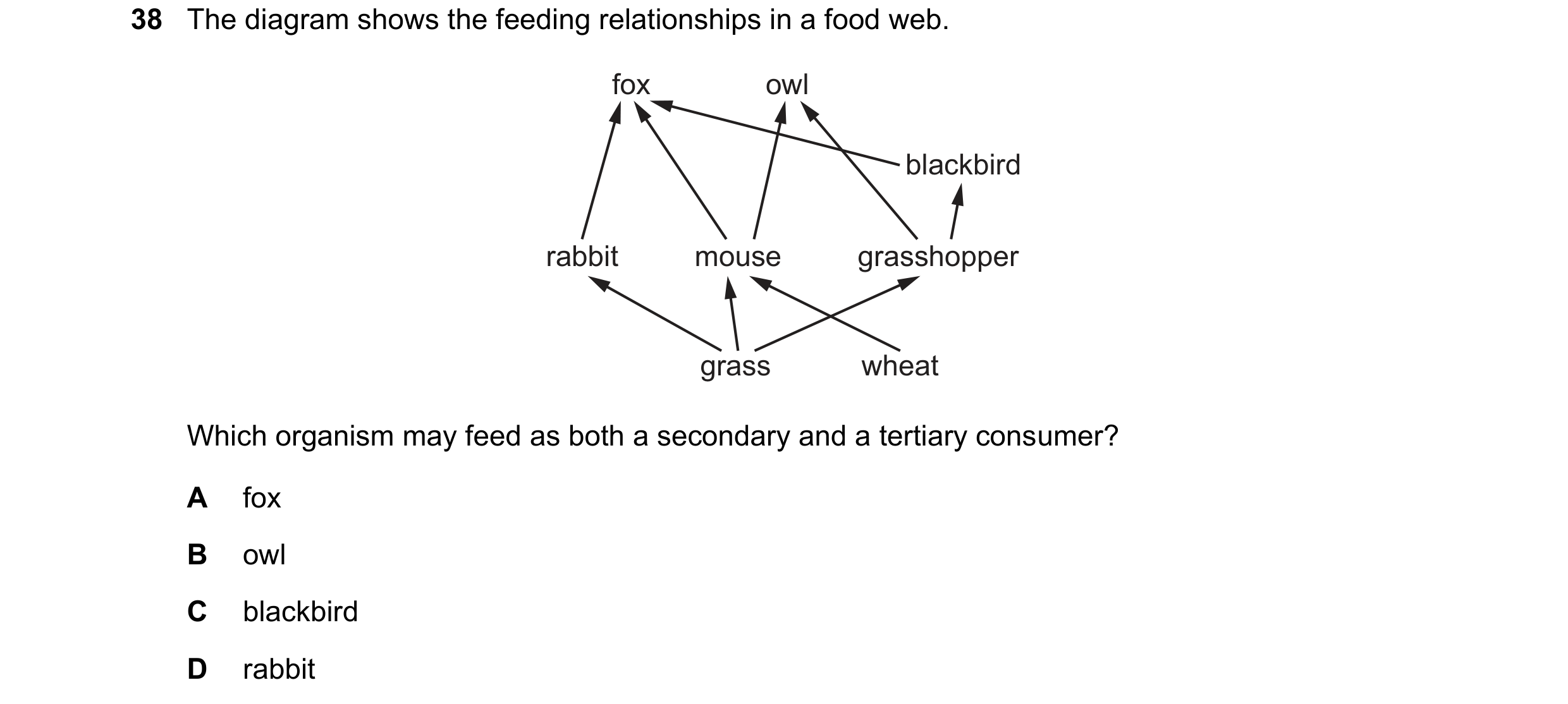 Question 11: The diagram shows the feeding relationships in a food web. fox owl blackbird rabbit mouse grasshopper grass wheat Which organism may feed a…