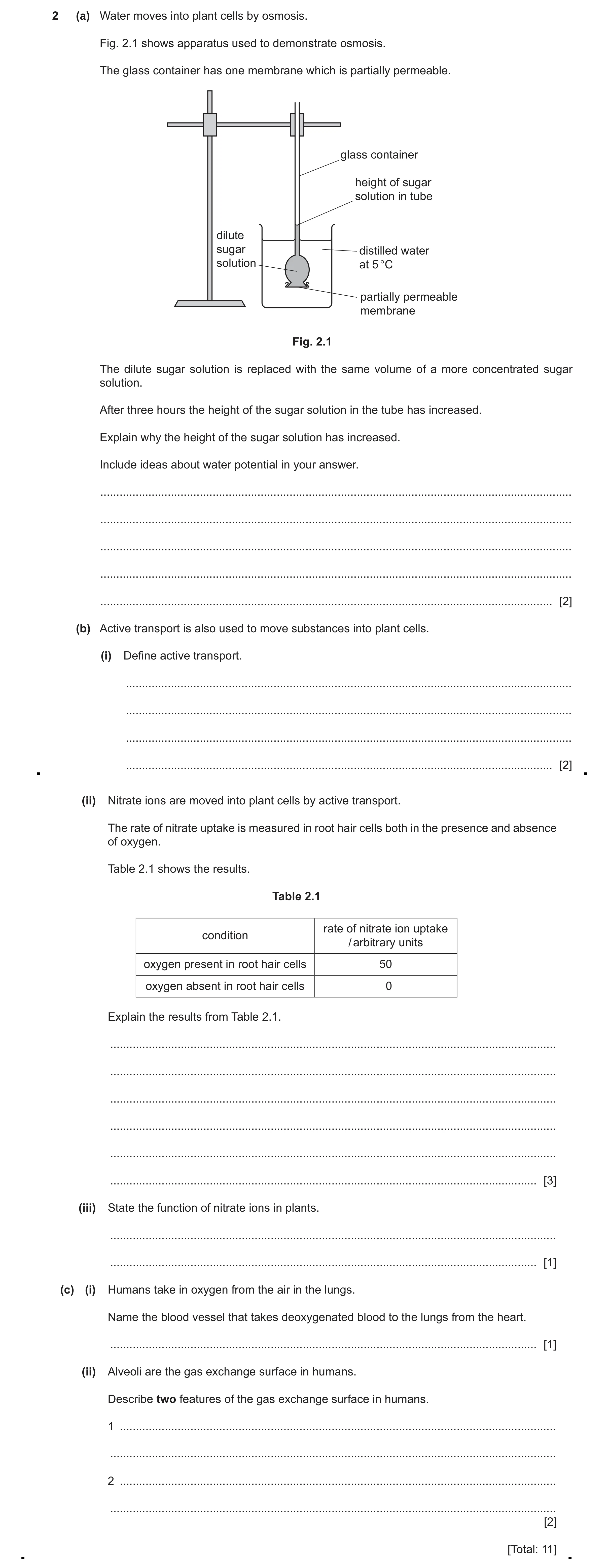 Question 18: (a) Water moves into plant cells by osmosis. Fig. 2.1 shows apparatus used to demonstrate osmosis. The glass container has one membrane whi…