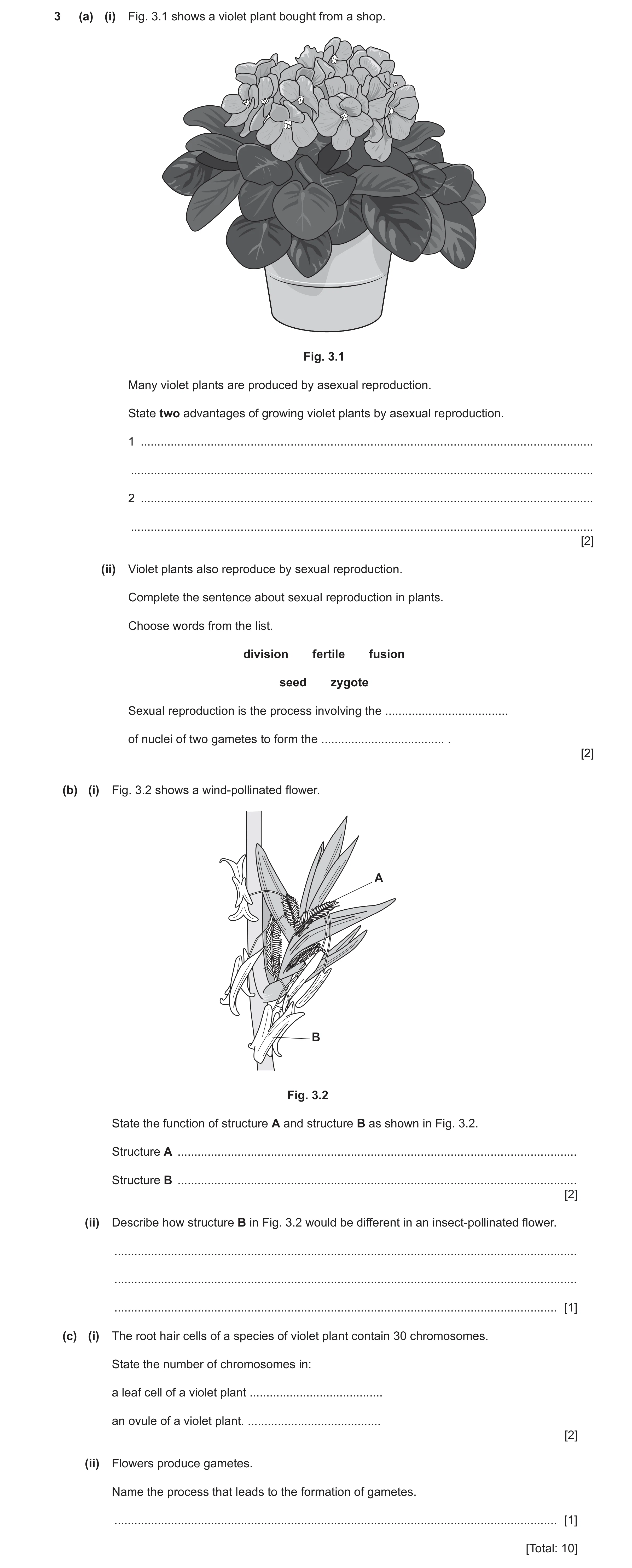 Question 12: (a) (i) Fig. 3.1 shows a violet plant bought from a shop. Fig. 3.1 Many violet plants are produced by asexual reproduction. State two advan…