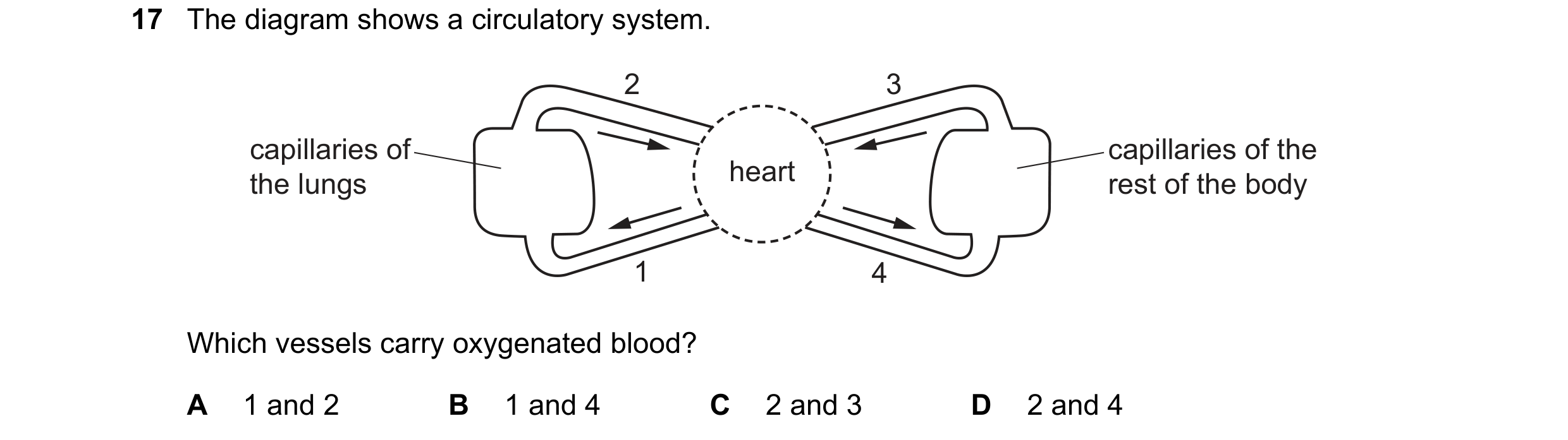 Question 1: The diagram shows a circulatory system. 2 3 capillaries of capillaries of the the lungs heart rest of the body 1 4 Which vessels carry oxyg…