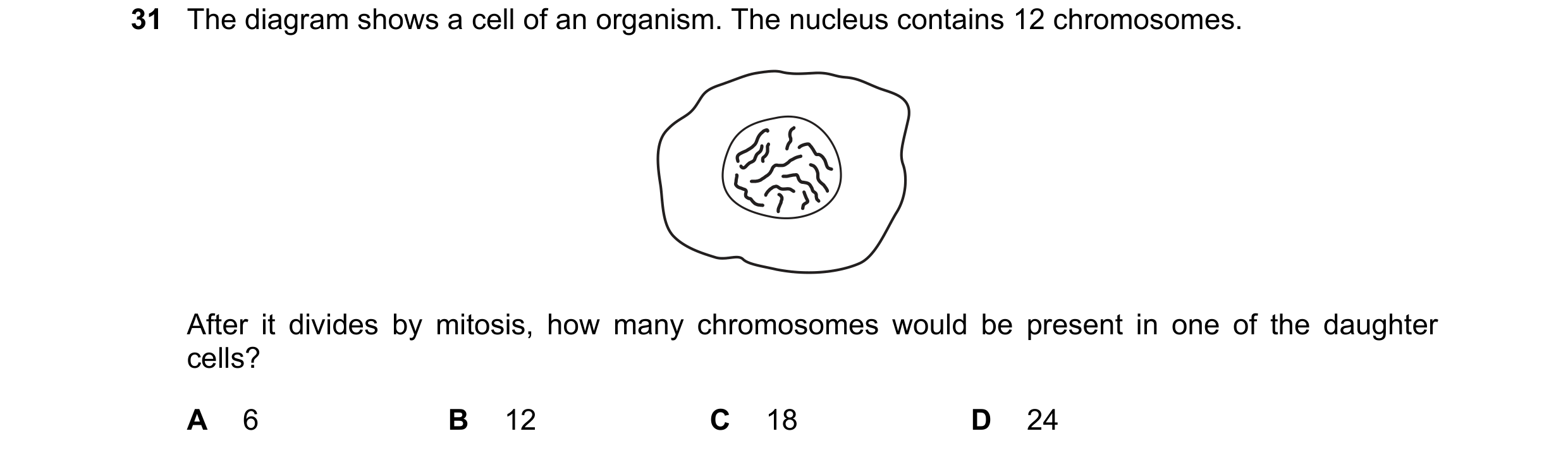 Question 1: The diagram shows a cell of an organism. The nucleus contains 12 chromosomes. After it divides by mitosis, how many chromosomes would be pr…