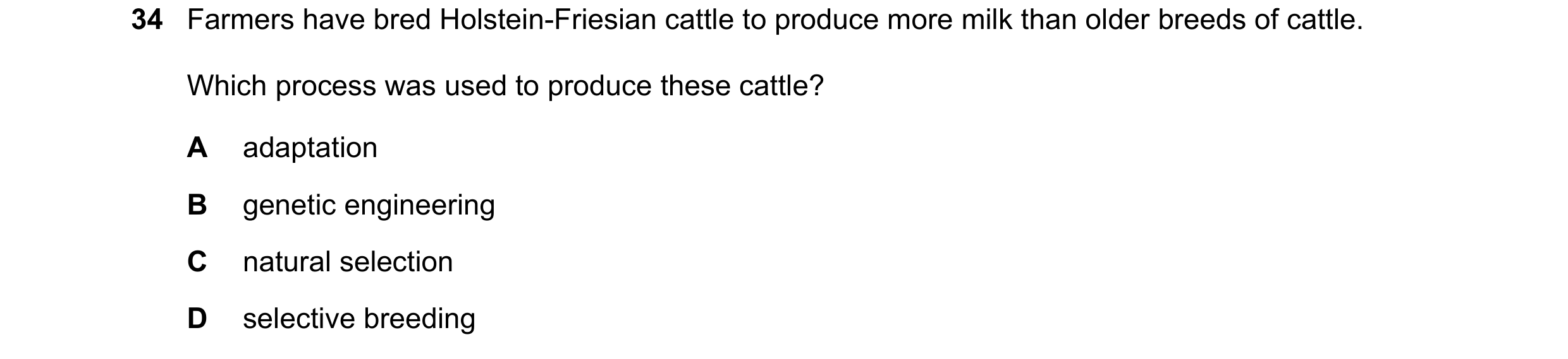 Question 3: Farmers have bred Holstein-Friesian cattle to produce more milk than older breeds of cattle. Which process was used to produce these cattle…