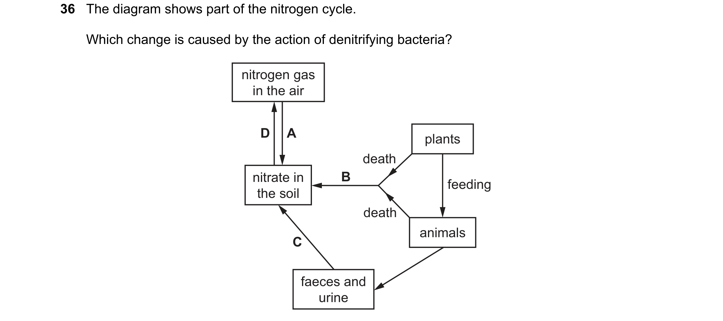 Question 1: The diagram shows part of the nitrogen cycle. Which change is caused by the action of denitrifying bacteria? nitrogen gas in the air D A pl…