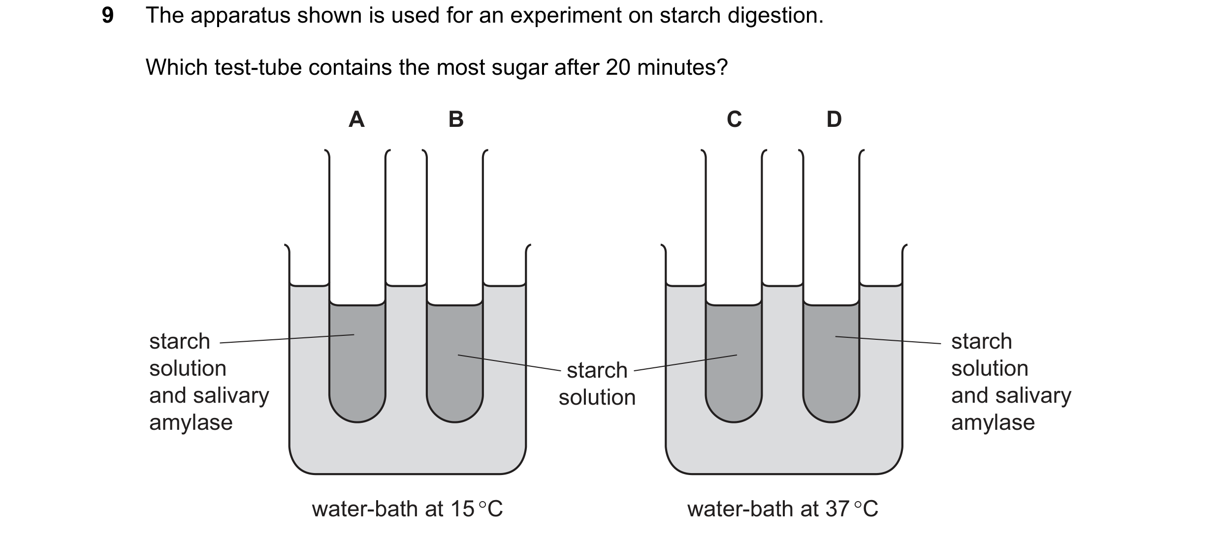 Question 3: The apparatus shown is used for an experiment on starch digestion. Which test-tube contains the most sugar after 20 minutes? A B C D starch…