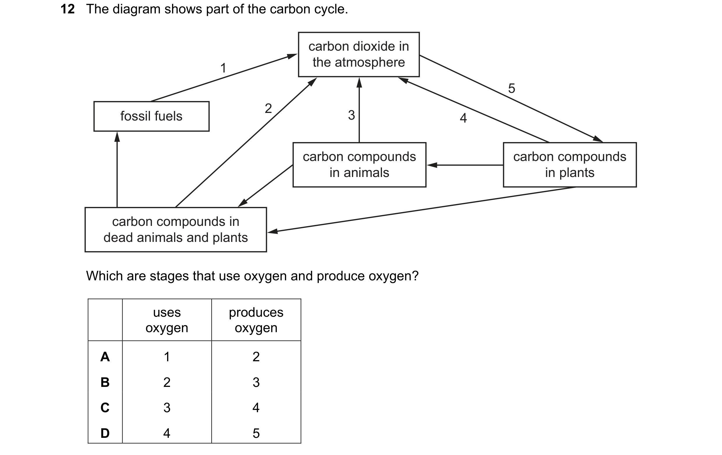 Question 16: The diagram shows part of the carbon cycle. carbon dioxide in 1 the atmosphere 5 2 fossil fuels 3 4 carbon compounds carbon compounds in an…