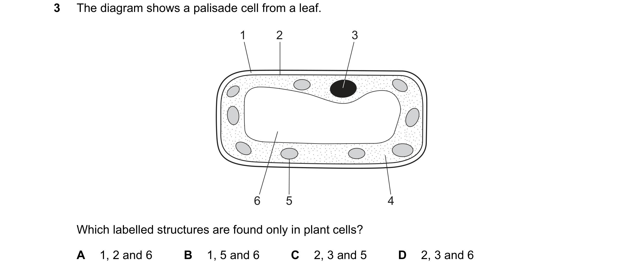 Question 32: The diagram shows a palisade cell from a leaf. 1 2 3 6 5 4 Which labelled structures are found only in plant cells? A 1, 2 and 6 B 1, 5 and…