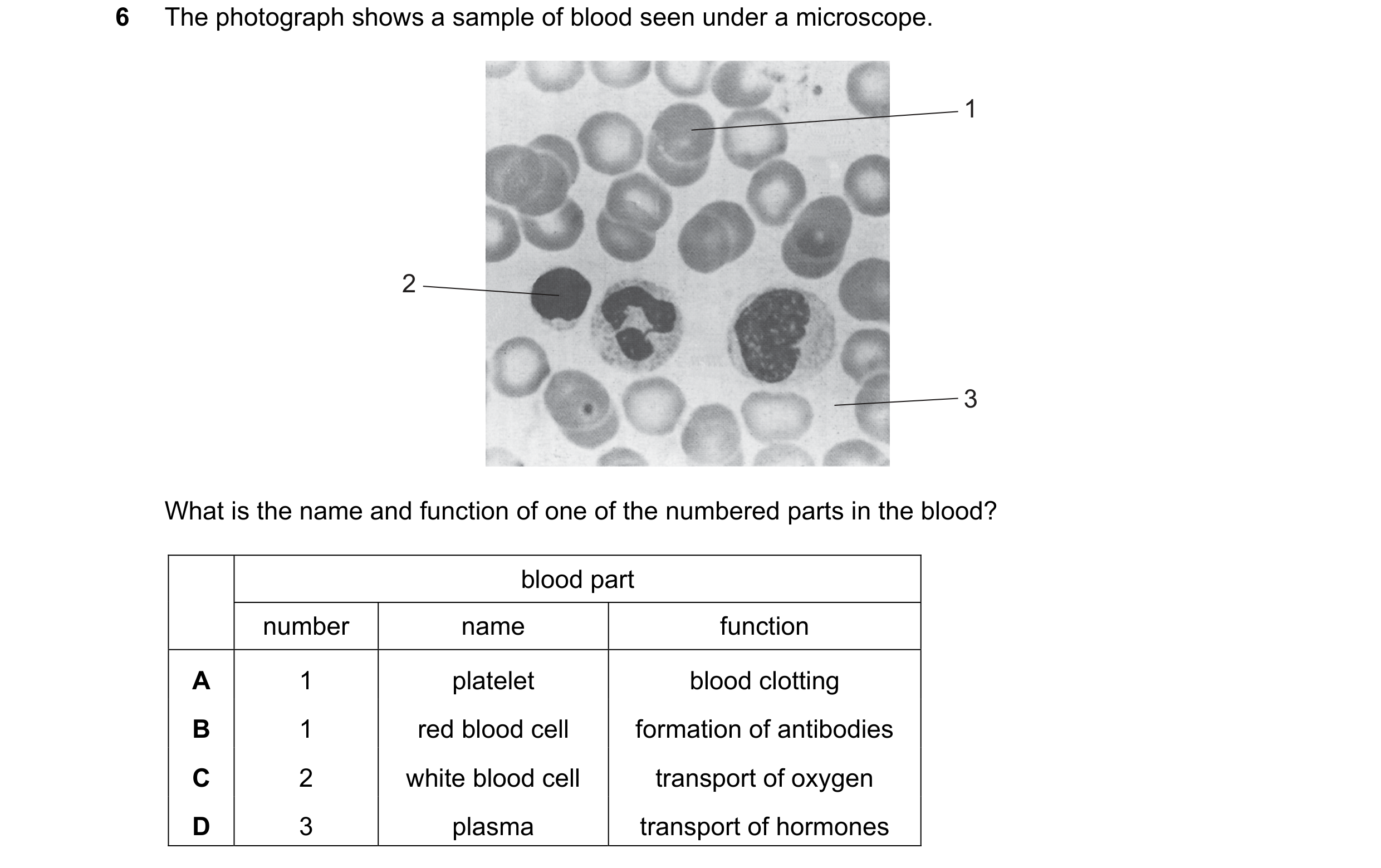 Question 14: The photograph shows a sample of blood seen under a microscope. 1 2 3 What is the name and function of one of the numbered parts in the blo…