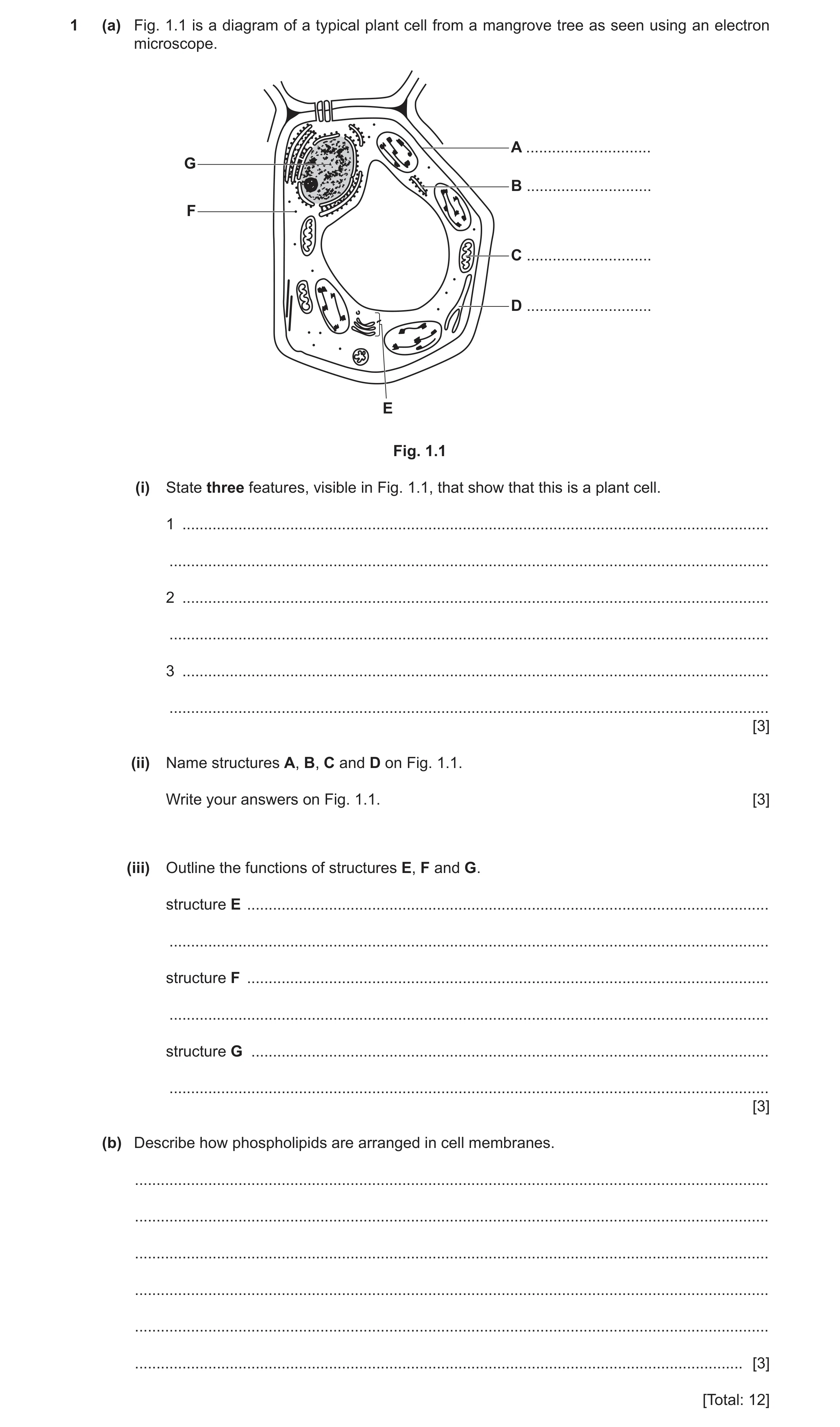 Question 3: (a) Fig. 1.1 is a diagram of a typical plant cell from a mangrove tree as seen using an electron microscope. A ............................…