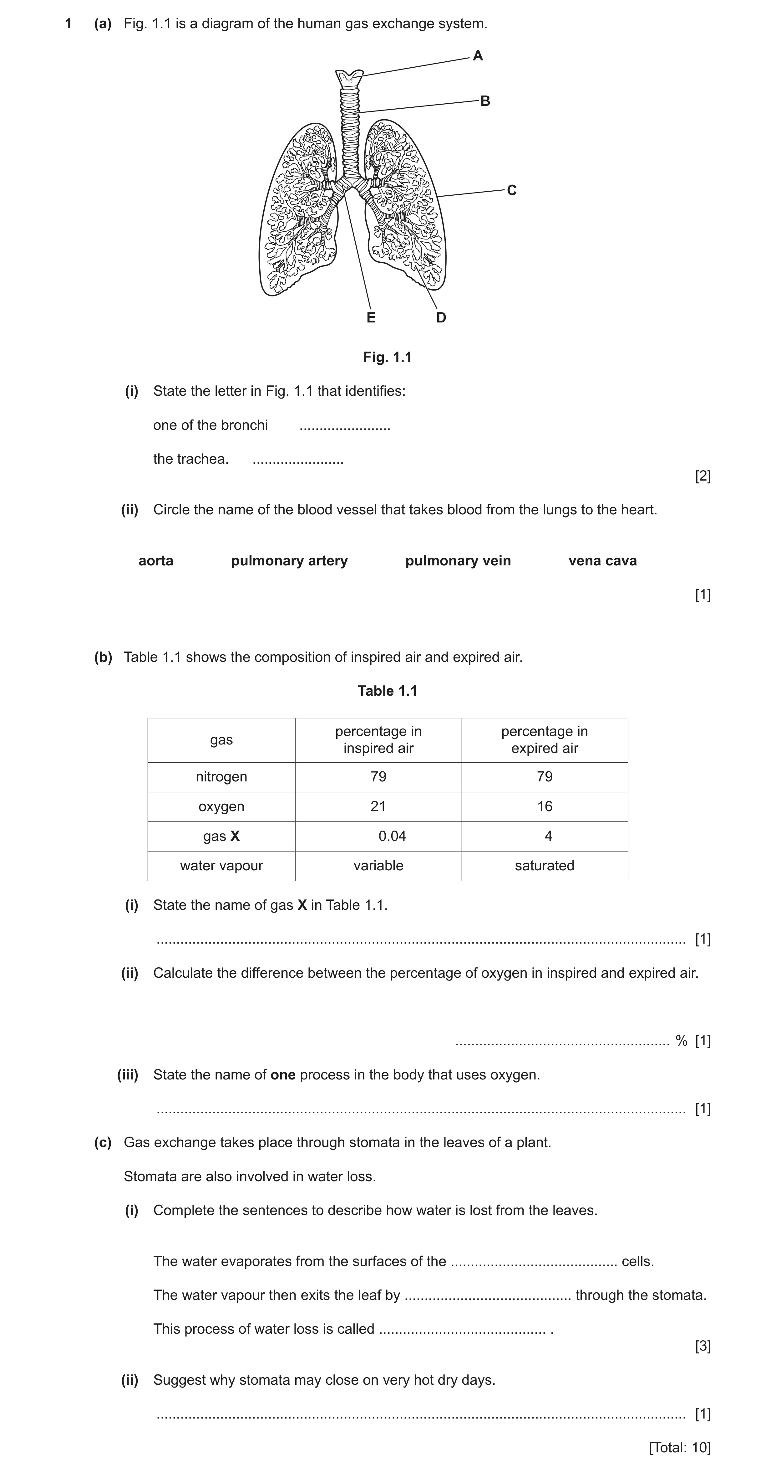 Question 16: (a) Fig. 1.1 is a diagram of the human gas exchange system. A B C E D Fig. 1.1 (i) State the letter in Fig. 1.1 that identifies: one of the…