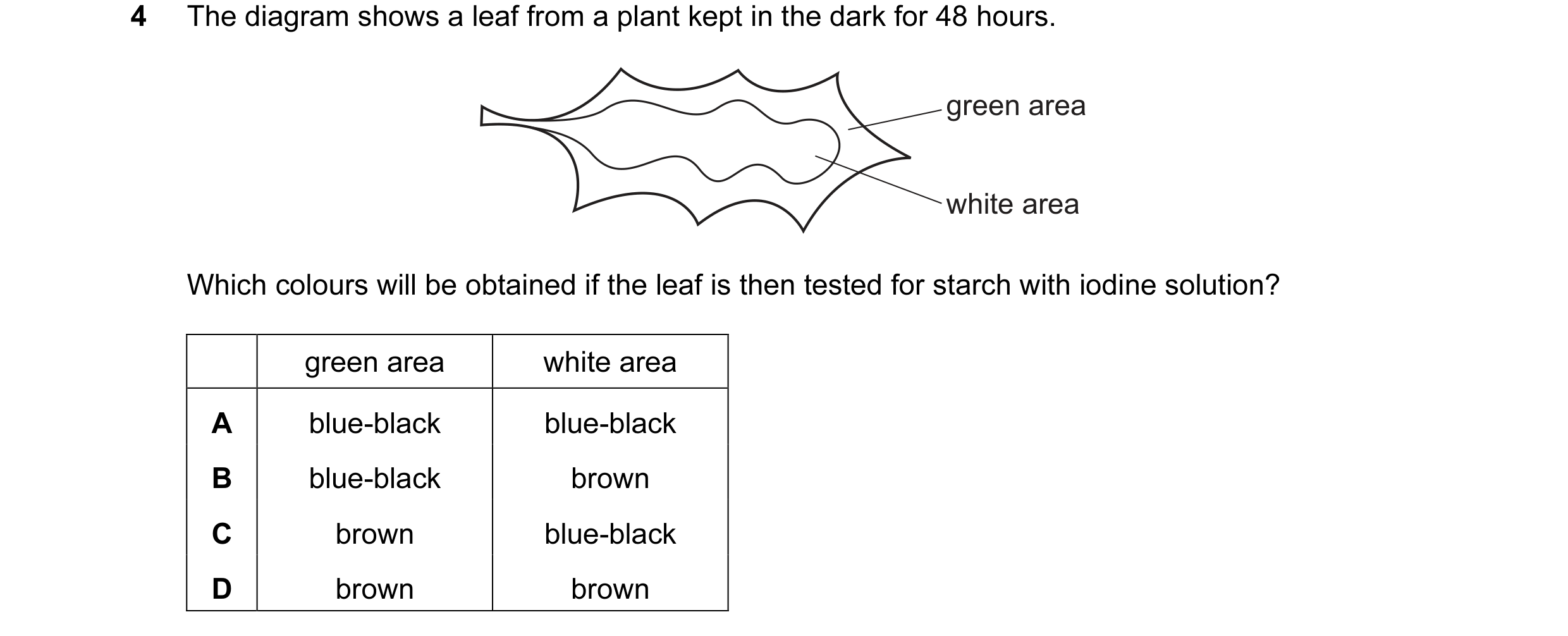 Question 15: The diagram shows a leaf from a plant kept in the dark for 48 hours. green area white area Which colours will be obtained if the leaf is th…