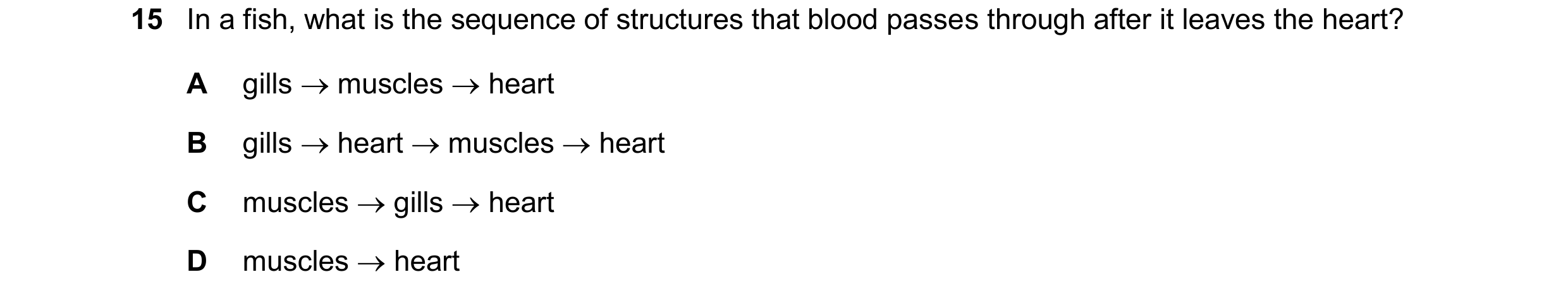 Question 16: In a fish, what is the sequence of structures that blood passes through after it leaves the heart? A gills muscles heart B gills hear…