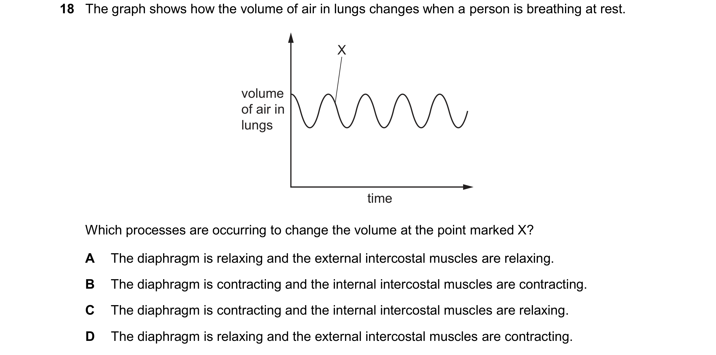 Question 27: The graph shows how the volume of air in lungs changes when a person is breathing at rest. X volume of air in lungs time Which processes ar…