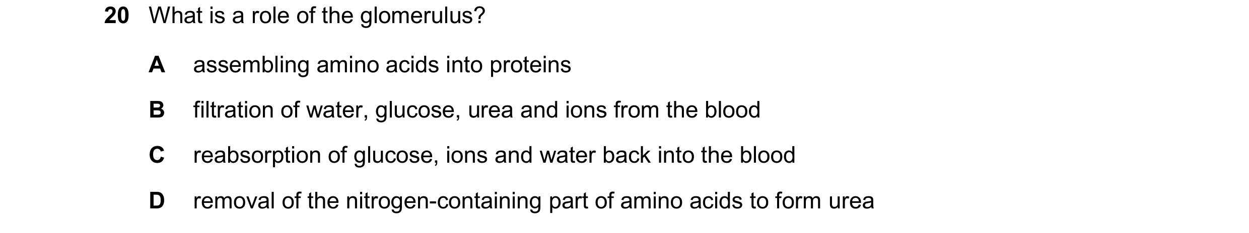 Question 26: What is a role of the glomerulus? A assembling amino acids into proteins B filtration of water, glucose, urea and ions from the blood C rea…