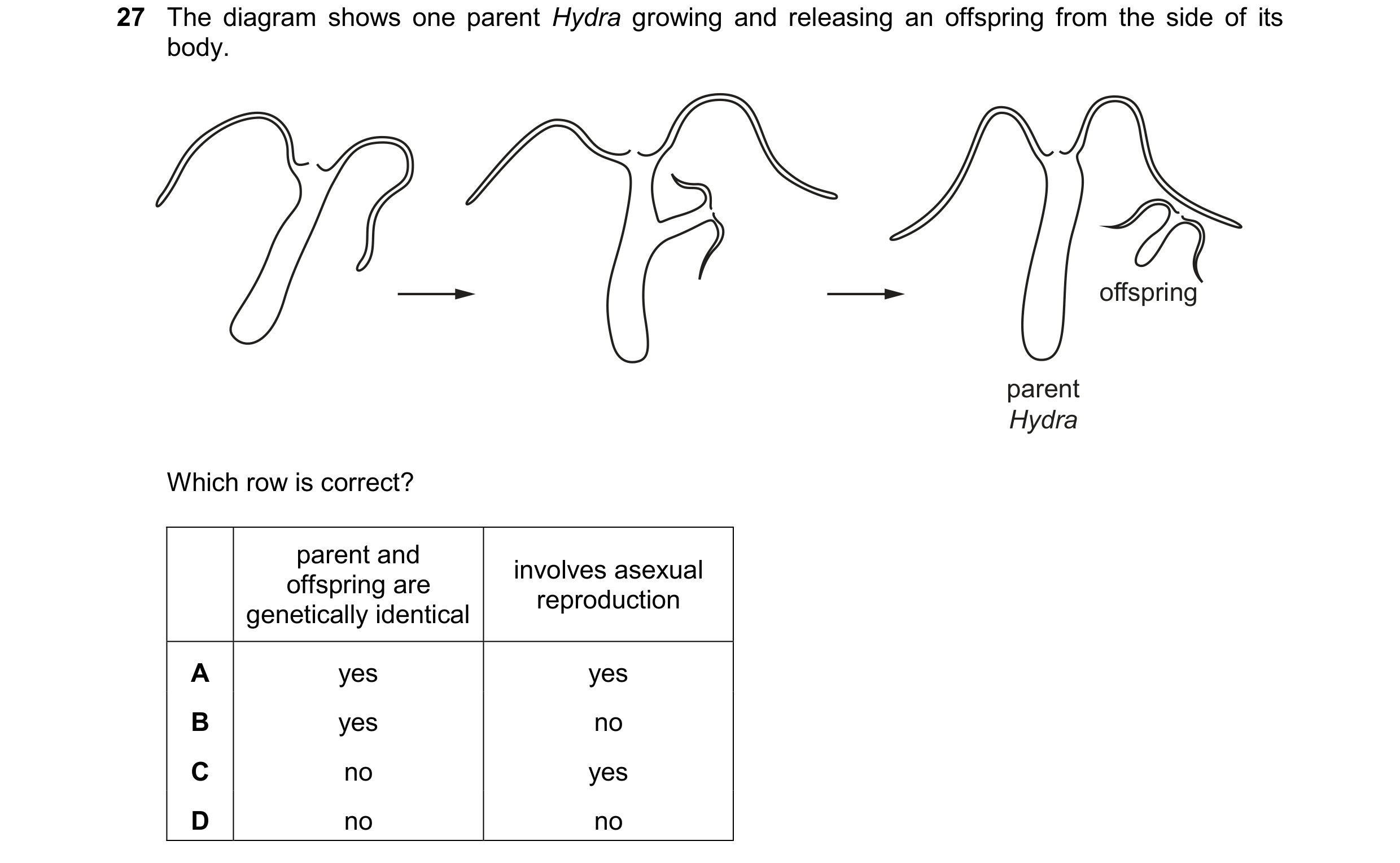 Question 9: The diagram shows one parent Hydra growing and releasing an offspring from the side of its body. offspring parent Hydra Which row is correc…