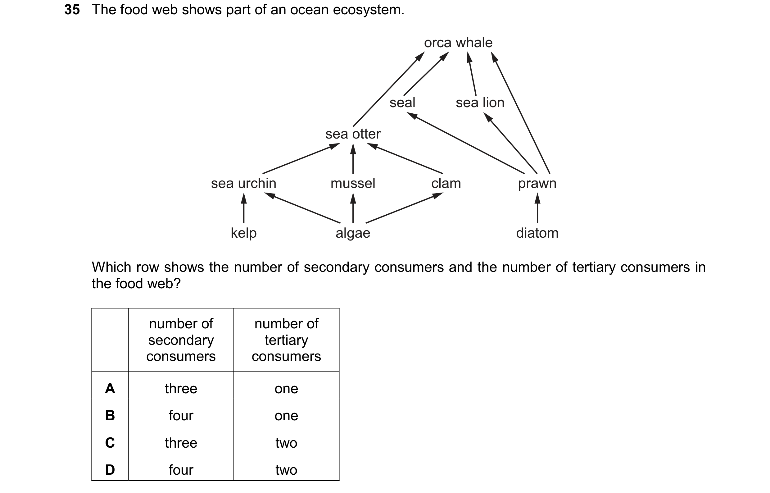 Question 21: The food web shows part of an ocean ecosystem. orca whale seal sea lion sea otter sea urchin mussel clam prawn kelp algae diatom Which row …