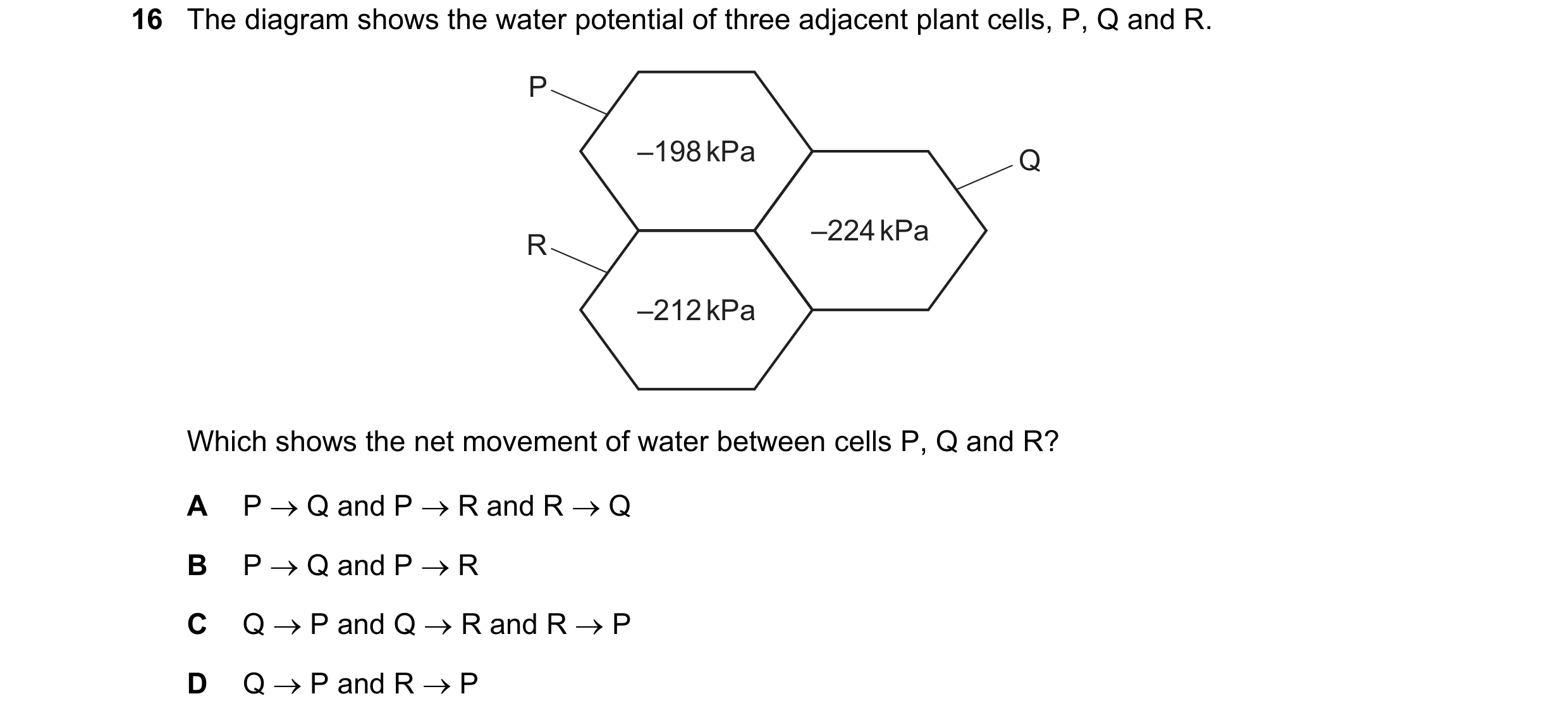Question 168: The diagram shows the water potential of three adjacent plant cells, P, Q and R. P –198 kPa Q –224 kPa R –212 kPa Which shows the net movem…