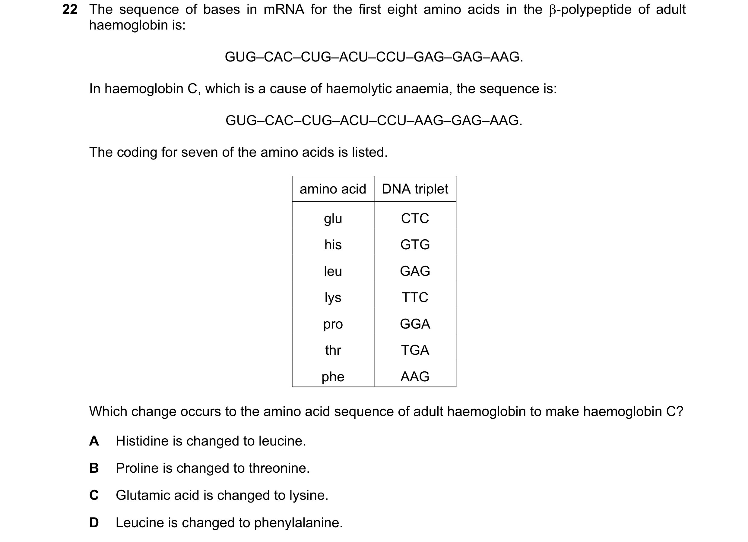 Question 128: The sequence of bases in mRNA for the first eight amino acids in the β-polypeptide of adult haemoglobin is: GUG–CAC–CUG–ACU–CCU–GAG–GAG–AAG…