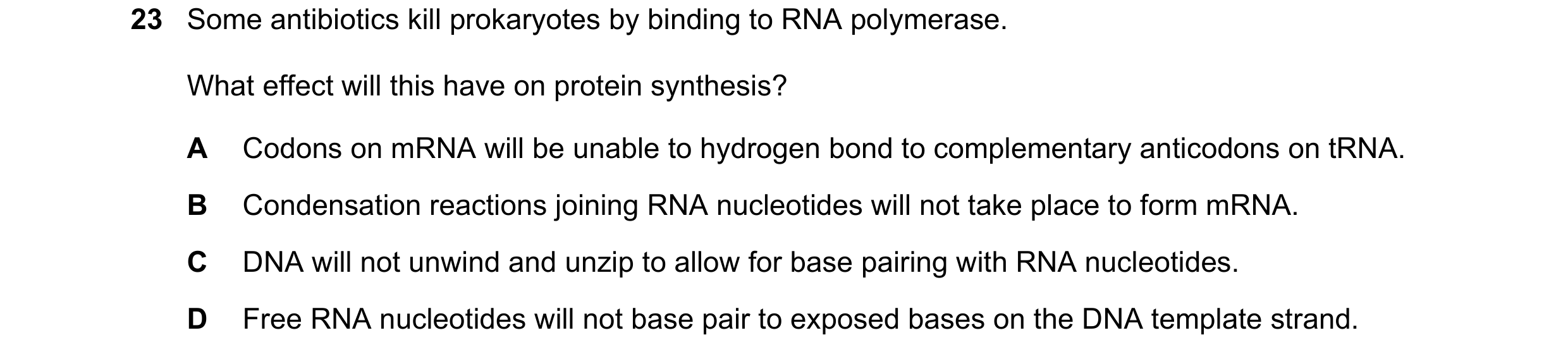 Question 56: Some antibiotics kill prokaryotes by binding to RNA polymerase. What effect will this have on protein synthesis? A Codons on mRNA will be u…