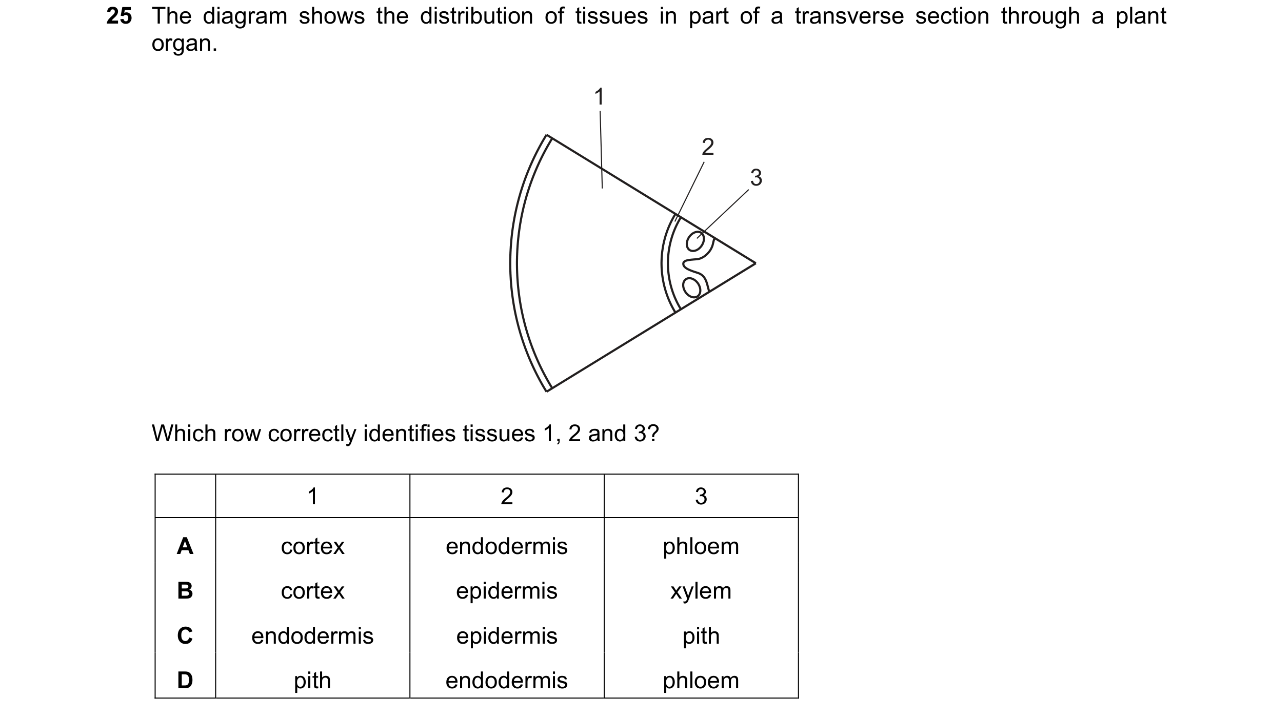 Question 76: The diagram shows the distribution of tissues in part of a transverse section through a plant organ. 1 2 3 Which row correctly identifies t…