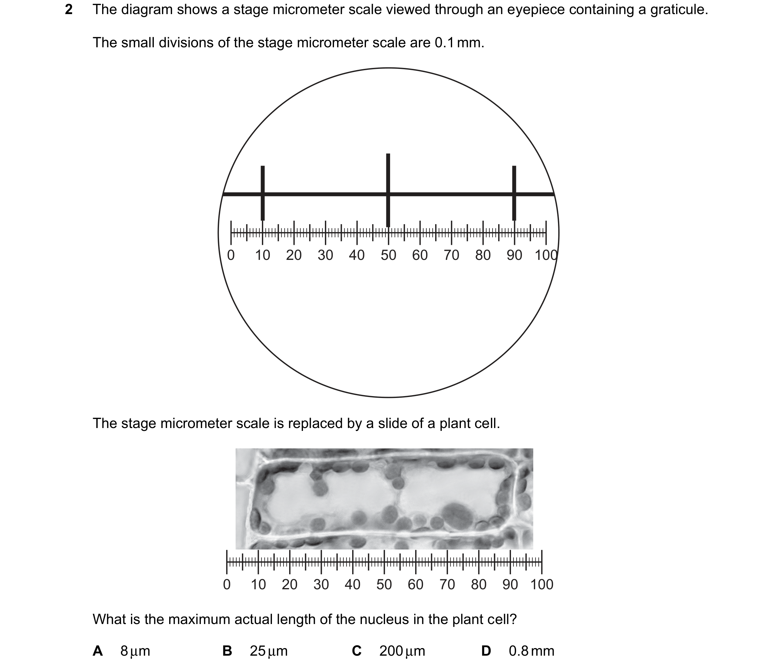 Question 174: The diagram shows a stage micrometer scale viewed through an eyepiece containing a graticule. The small divisions of the stage micrometer s…