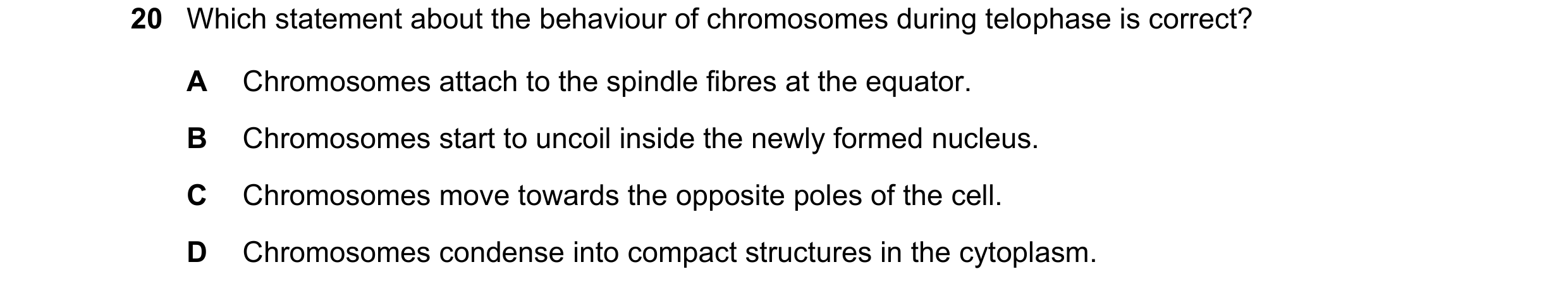 Question 111: Which statement about the behaviour of chromosomes during telophase is correct? A Chromosomes attach to the spindle fibres at the equator. …