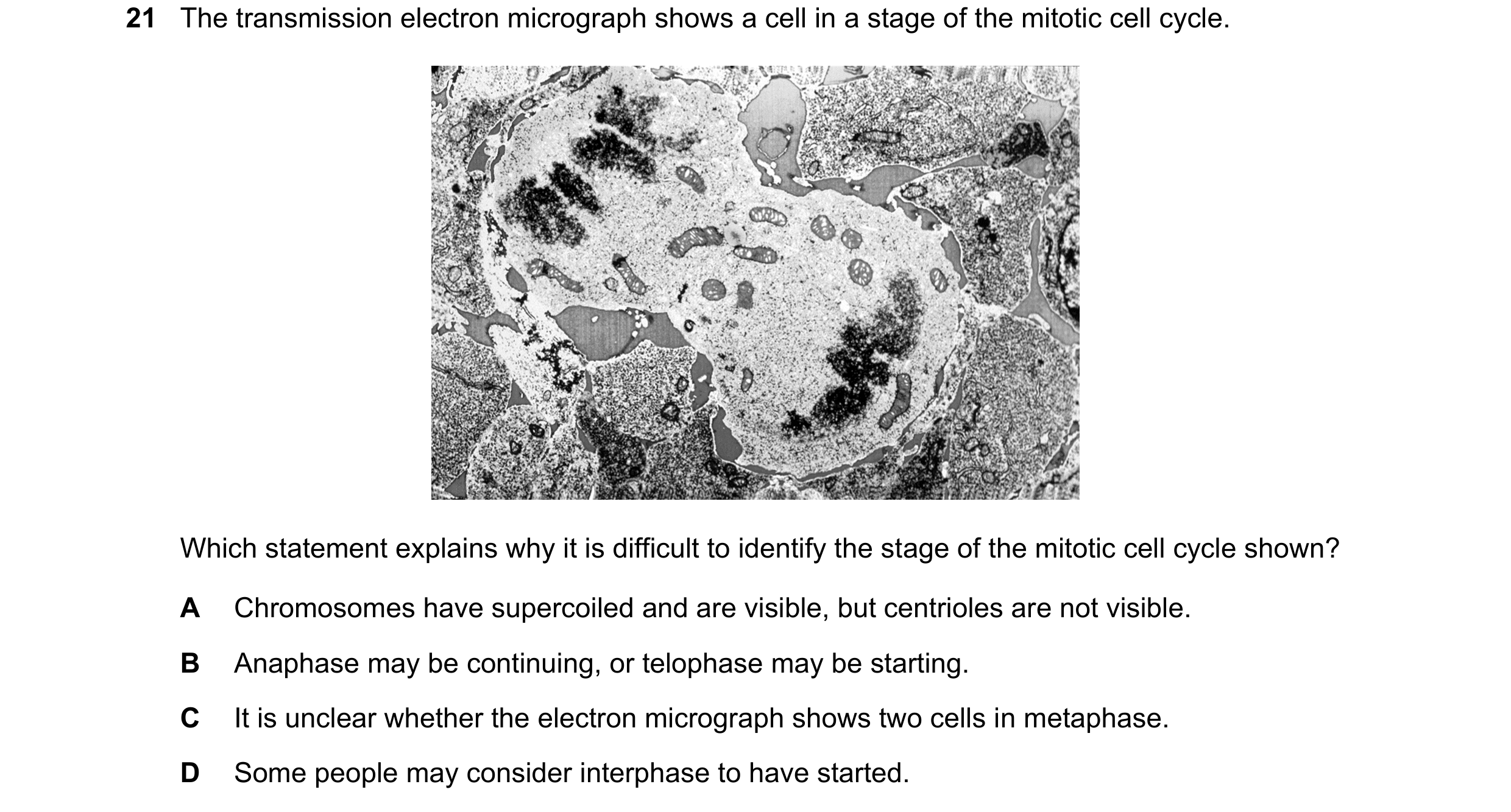Question 112: The transmission electron micrograph shows a cell in a stage of the mitotic cell cycle. Which statement explains why it is difficult to ide…