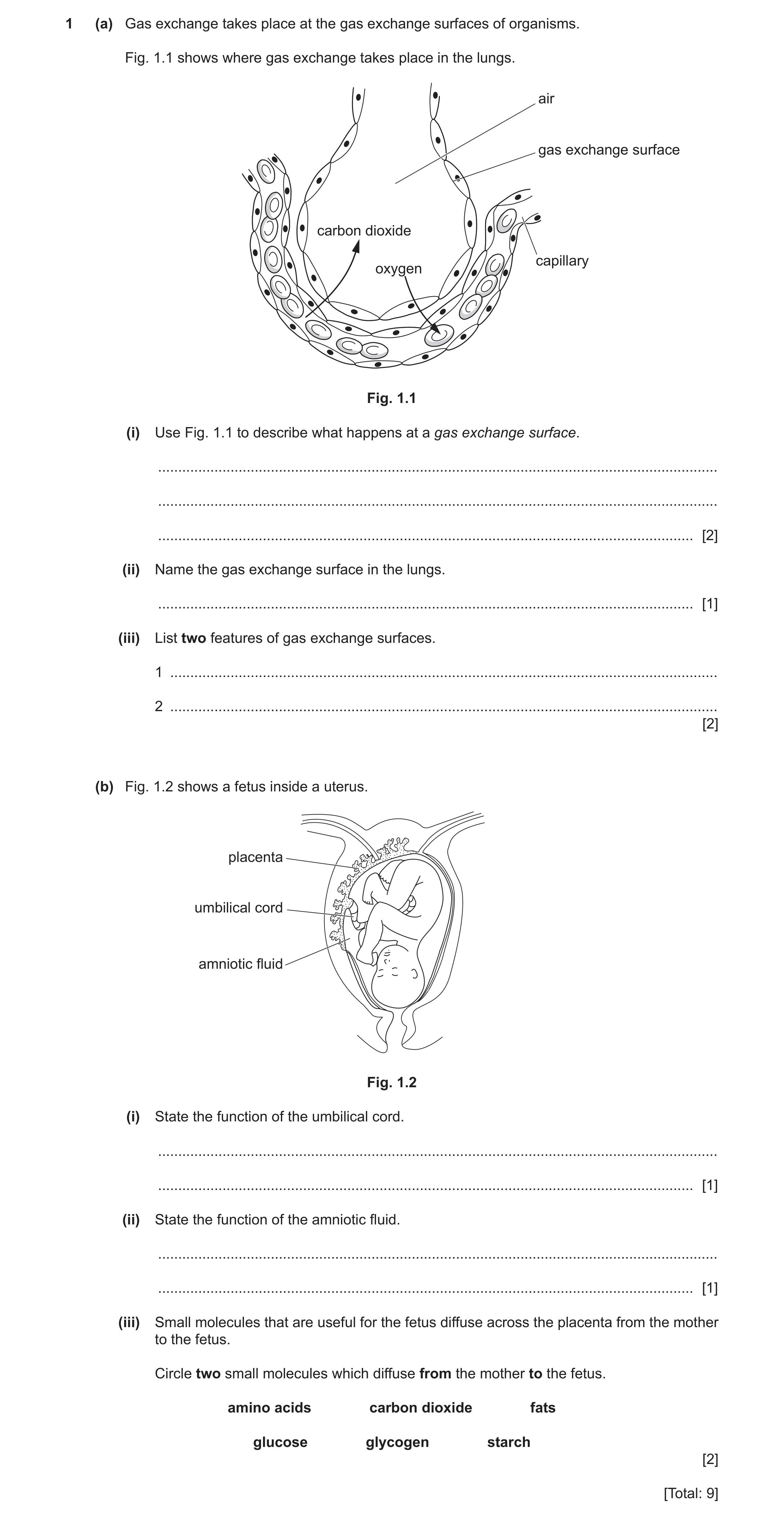 Question 11: (a) Gas exchange takes place at the gas exchange surfaces of organisms. Fig. 1.1 shows where gas exchange takes place in the lungs. air gas…