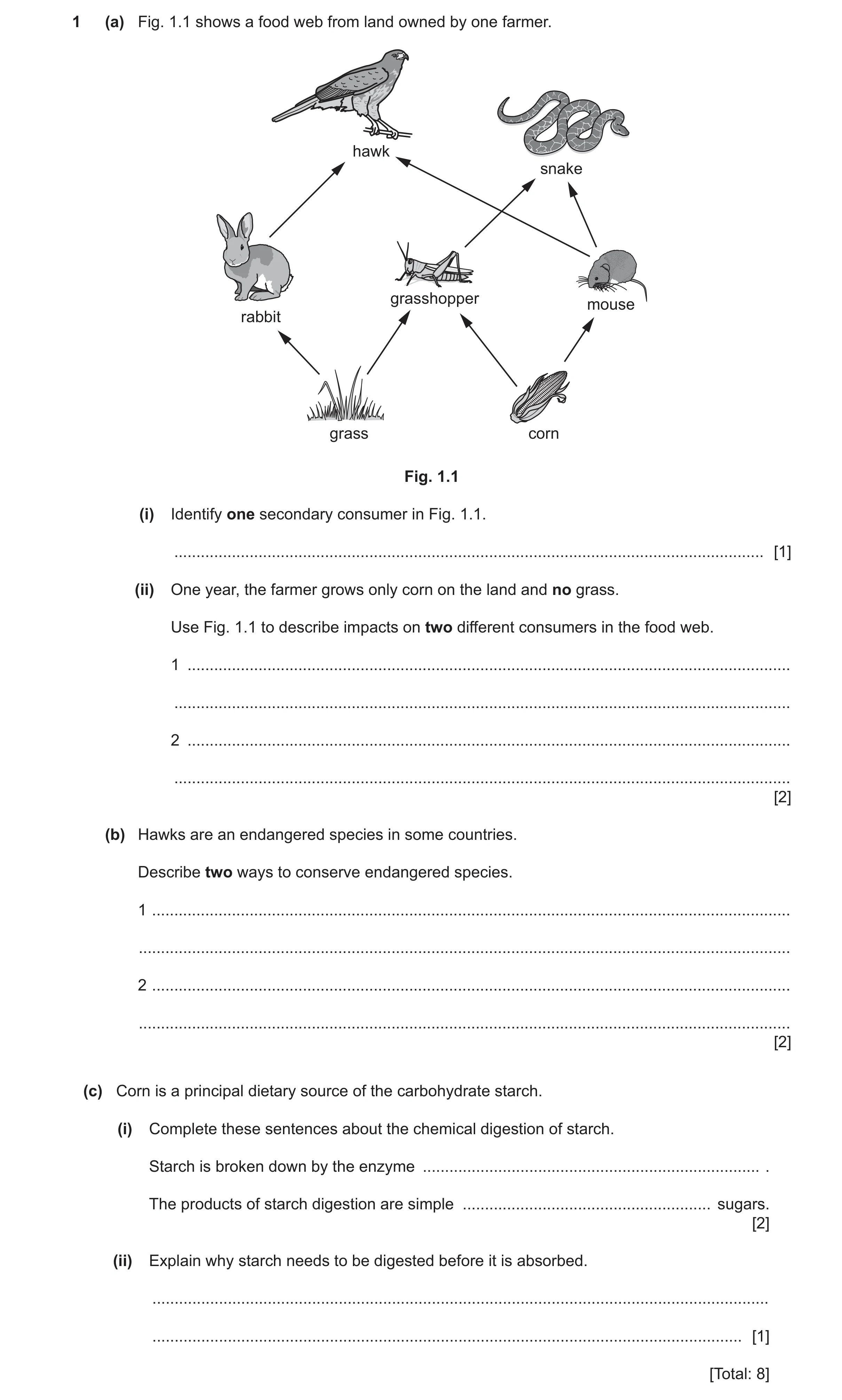 Question 20: (a) Fig. 1.1 shows a food web from land owned by one farmer. hawk snake grasshopper mouse rabbit grass corn Fig. 1.1 (i) Identify one secon…