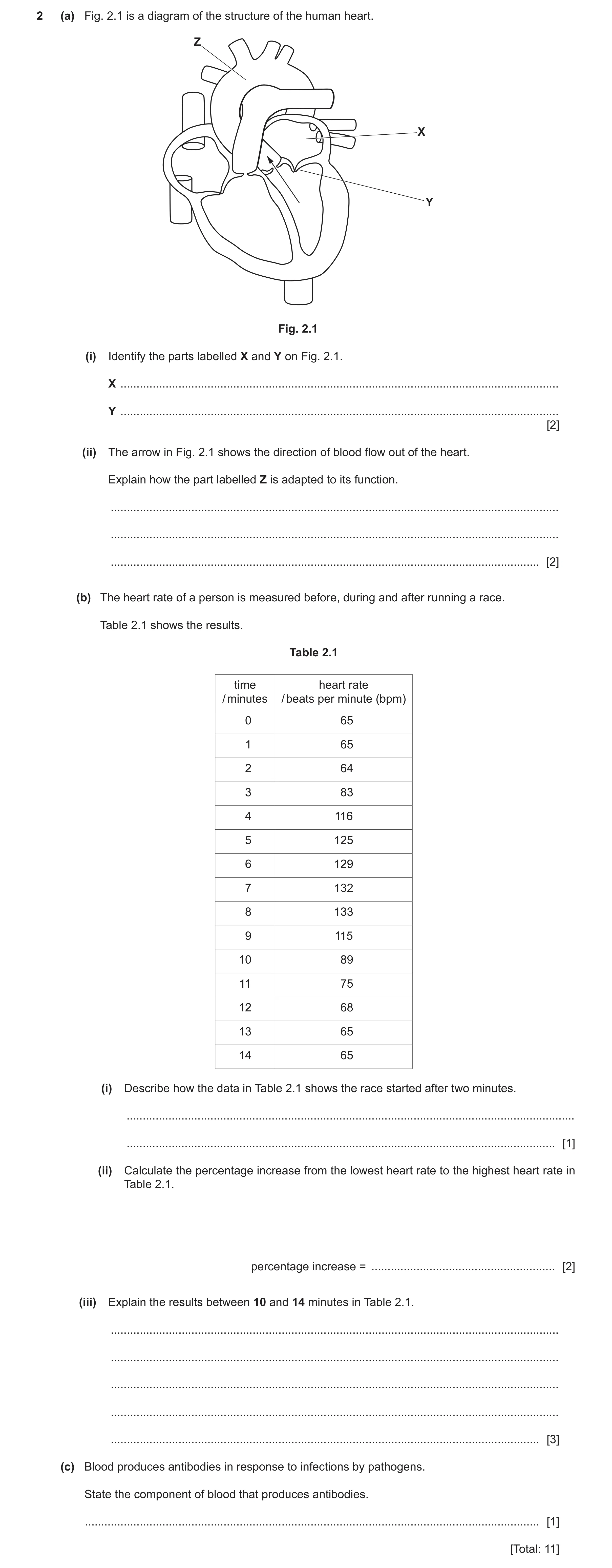 Question 21: (a) Fig. 2.1 is a diagram of the structure of the human heart. Z X Y Fig. 2.1 (i) Identify the parts labelled X and Y on Fig. 2.1. X ......…
