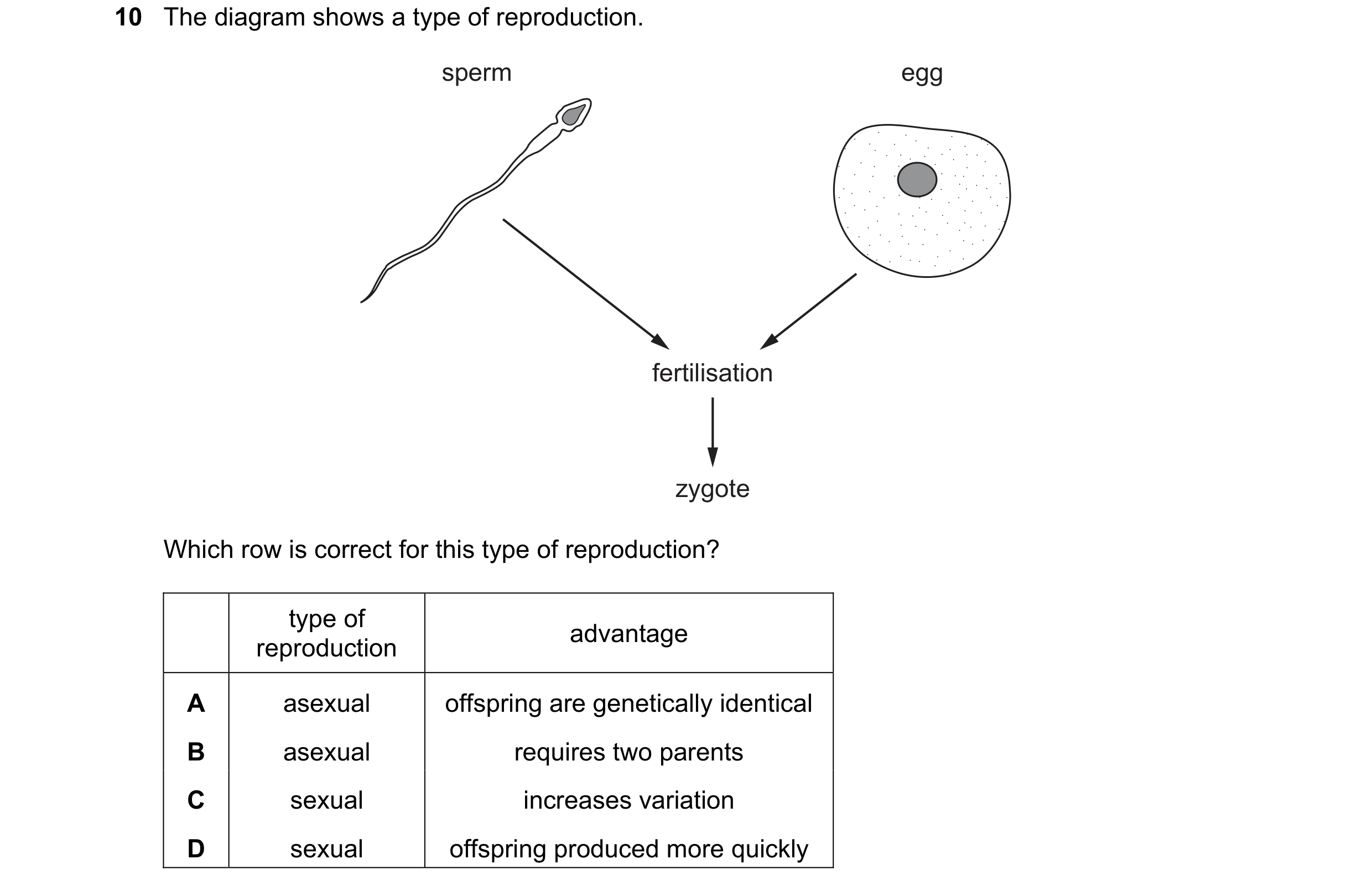Question 5: The diagram shows a type of reproduction. sperm egg fertilisation zygote Which row is correct for this type of reproduction? type of advant…