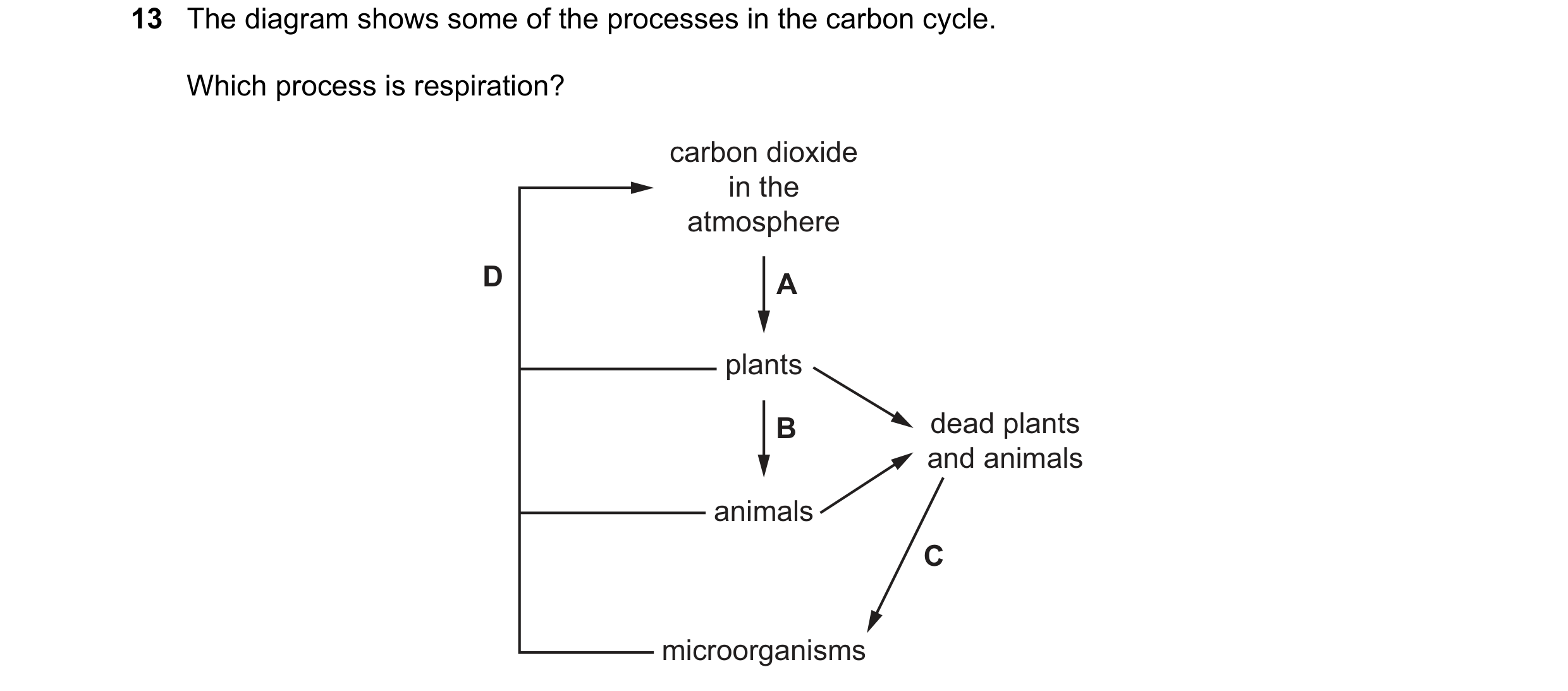 Question 6: The diagram shows some of the processes in the carbon cycle. Which process is respiration? carbon dioxide in the atmosphere D A plants B de…