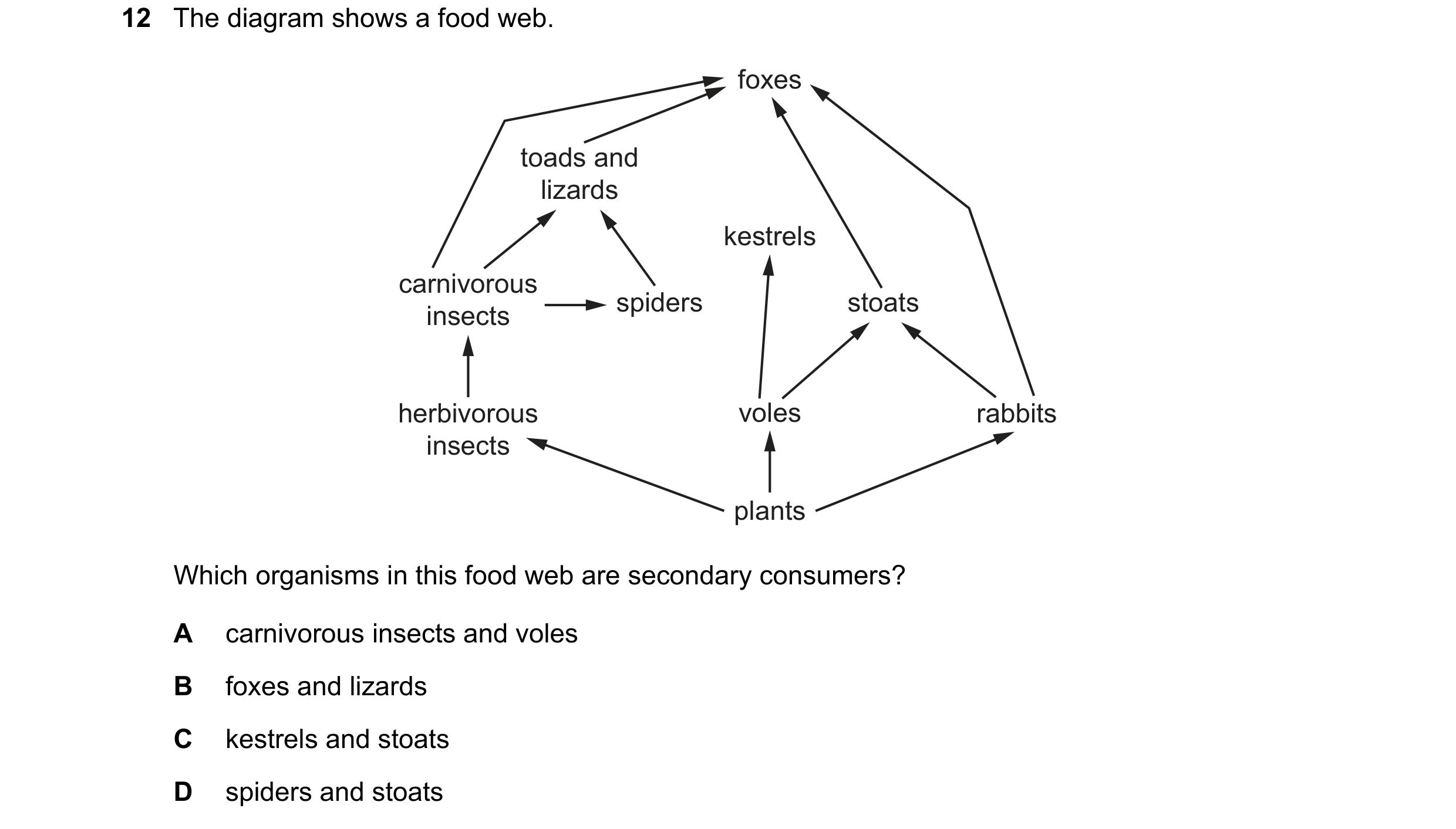 Question 39: The diagram shows a food web. foxes toads and lizards kestrels carnivorous spiders stoats insects herbivorous voles rabbits insects plants …