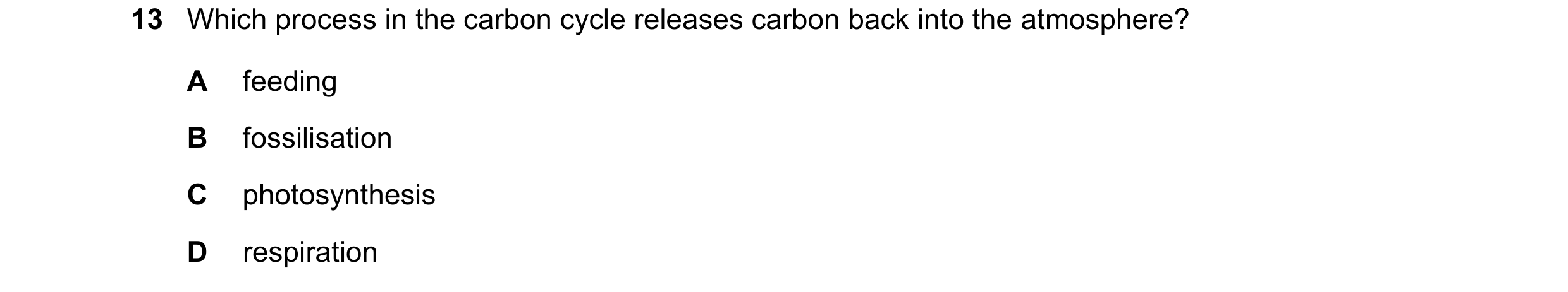 Question 31: Which process in the carbon cycle releases carbon back into the atmosphere? A feeding B fossilisation C photosynthesis D respiration