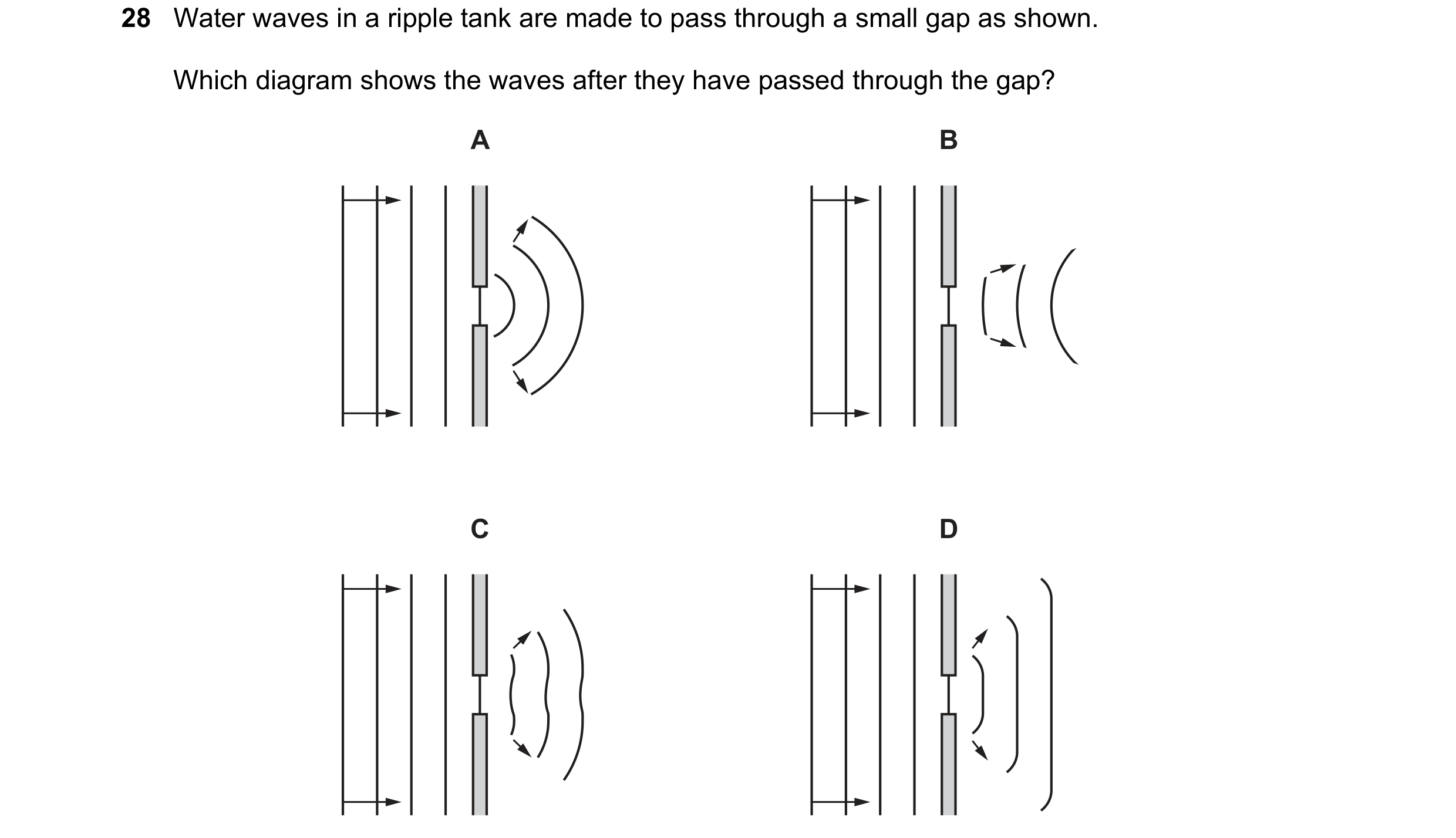 Question 42: Water waves in a ripple tank are made to pass through a small gap as shown. Which diagram shows the waves after they have passed through th…