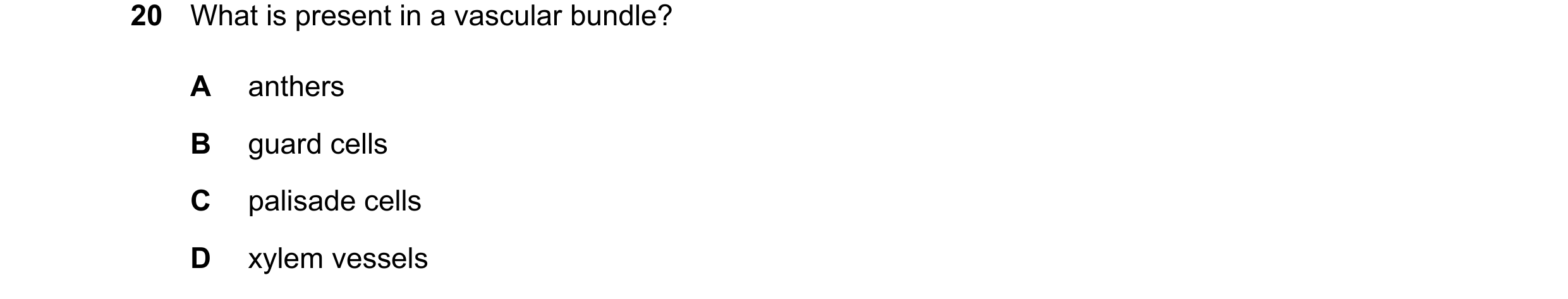 Question 18: What is present in a vascular bundle? A anthers B guard cells C palisade cells D xylem vessels