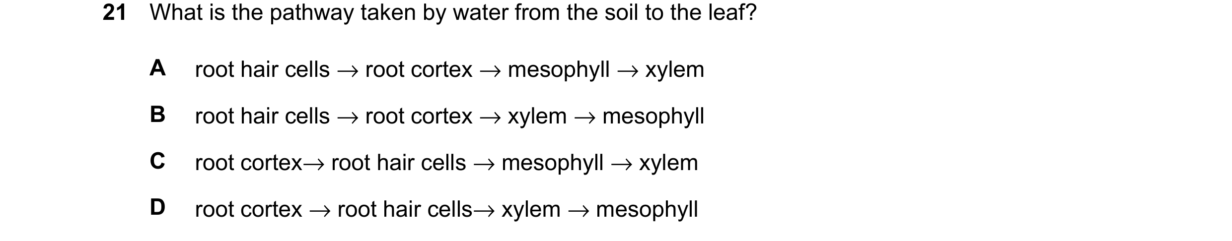 Question 17: What is the pathway taken by water from the soil to the leaf? A root hair cells →root cortex →mesophyll →xylem B root hair cells →root cort…