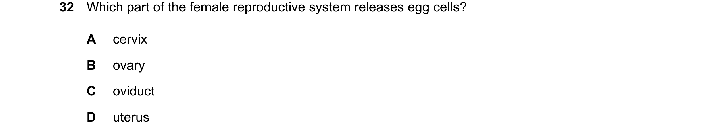 Question 23: Which part of the female reproductive system releases egg cells? A cervix B ovary C oviduct D uterus