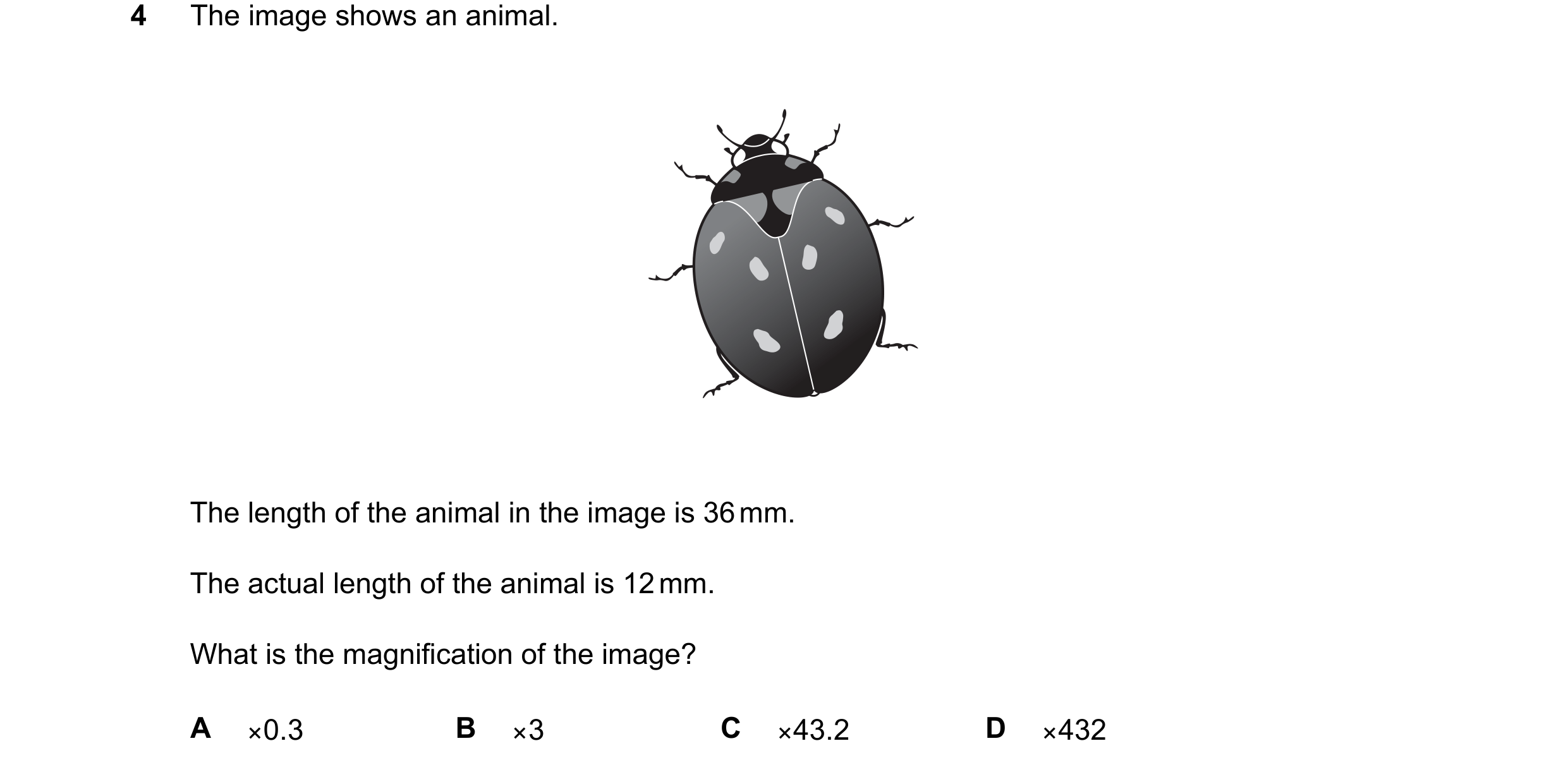 Question 11: The image shows an animal. The length of the animal in the image is 36 mm. The actual length of the animal is 12 mm. What is the magnificat…