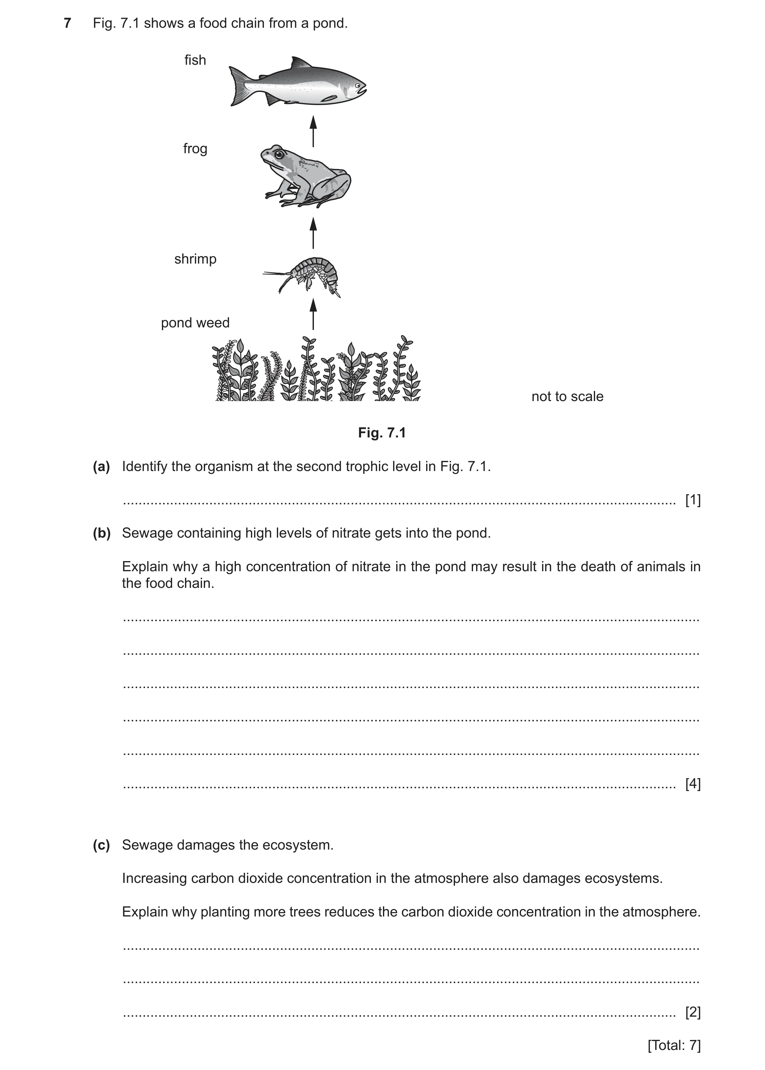 Question 24: Fig. 7.1 shows a food chain from a pond. fish frog shrimp pond weed not to scale Fig. 7.1 (a) Identify the organism at the second trophic l…