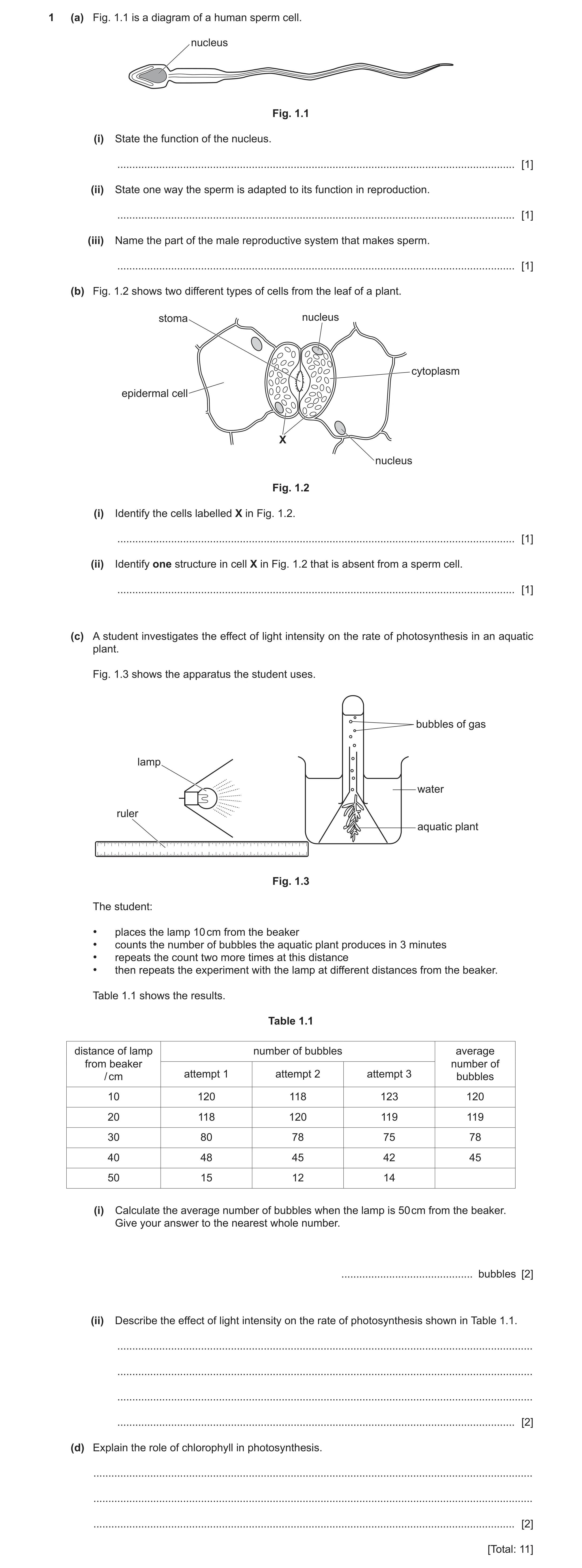 Question 7: (a) Fig. 1.1 is a diagram of a human sperm cell. nucleus Fig. 1.1 (i) State the function of the nucleus. ..................................…