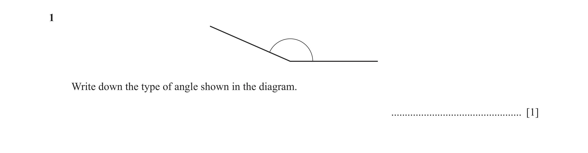Question 76: Write down the type of angle shown in the diagram. ................................................ [1]