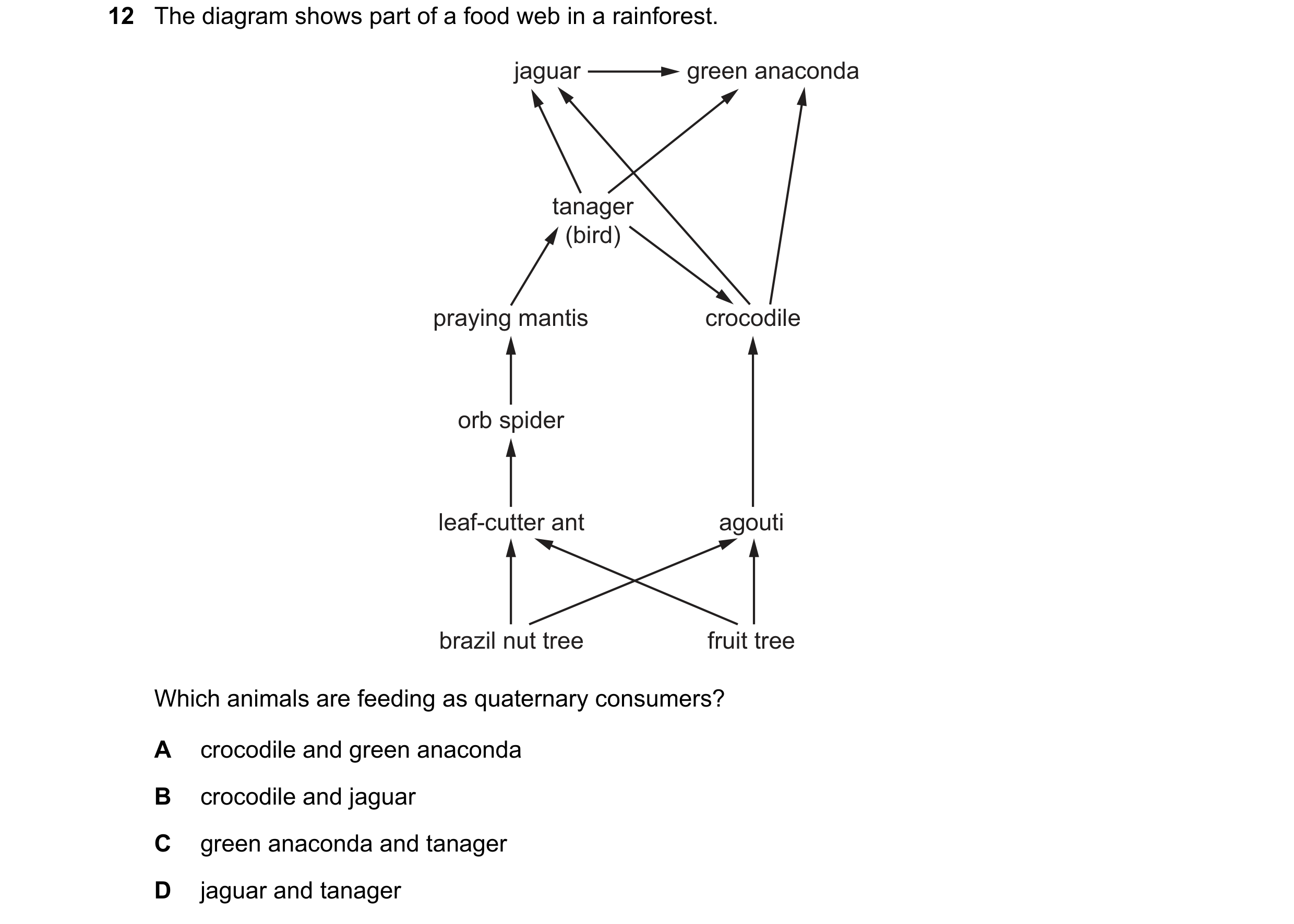 Question 25: The diagram shows part of a food web in a rainforest. jaguar green anaconda tanager (bird) praying mantis crocodile orb spider leaf-cutter …