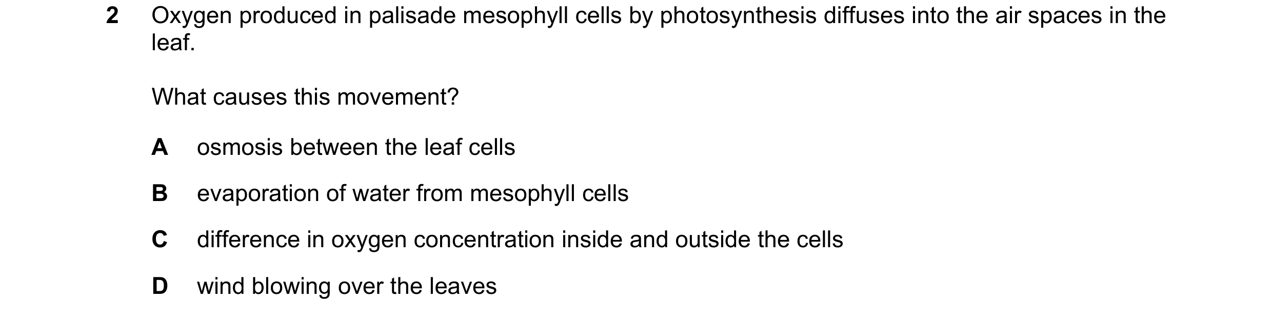 Question 10: Oxygen produced in palisade mesophyll cells by photosynthesis diffuses into the air spaces in the leaf. What causes this movement? A osmosi…