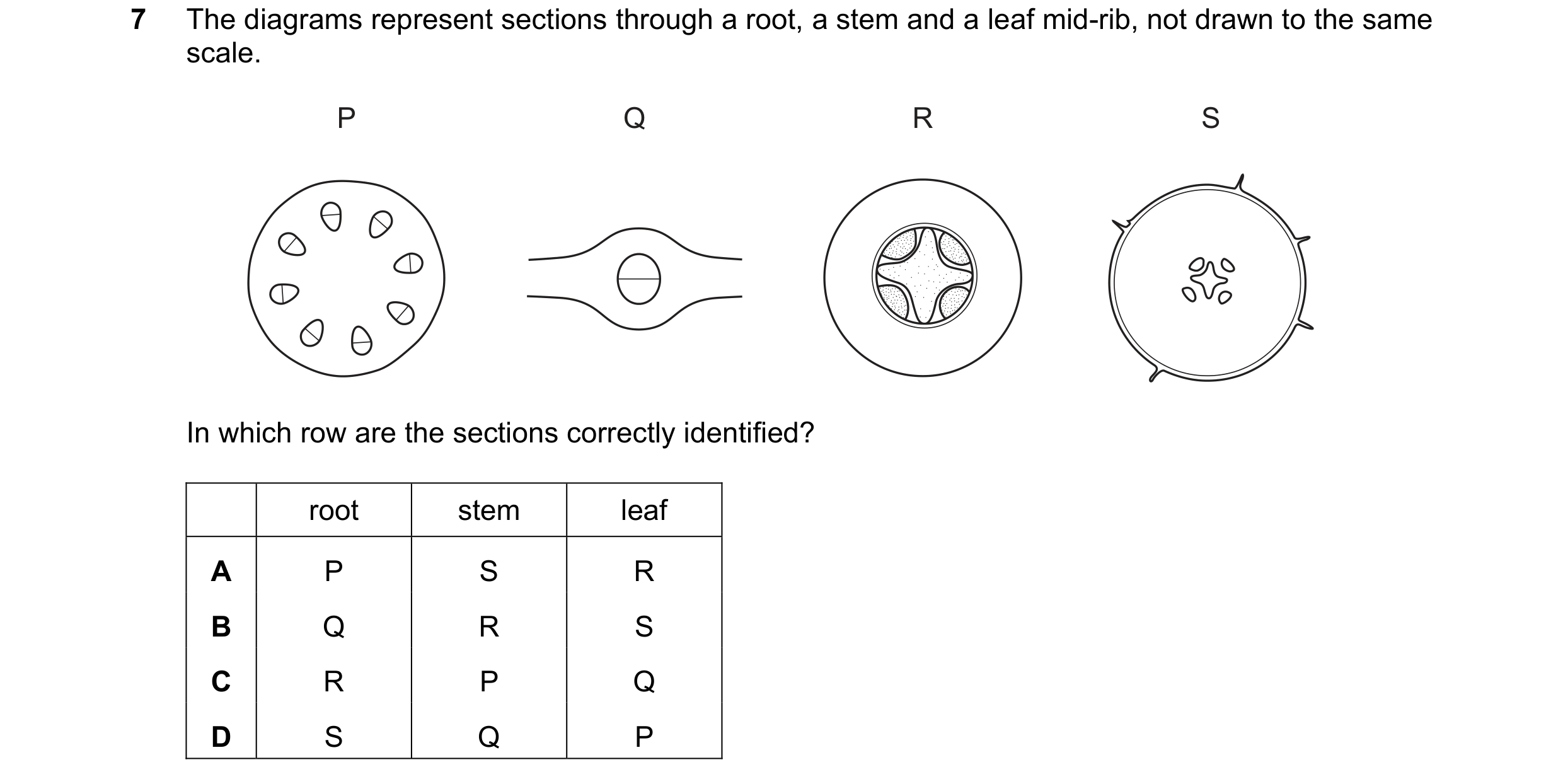 Question 15: The diagrams represent sections through a root, a stem and a leaf mid-rib, not drawn to the same scale. P Q R S In which row are the sectio…